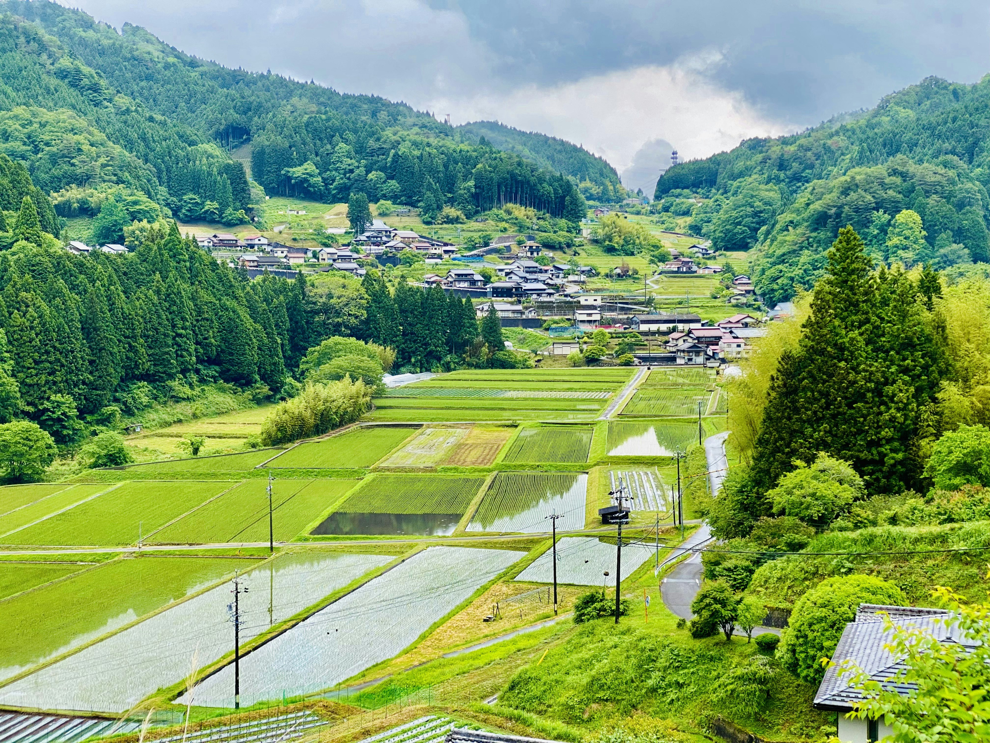 山あいの棚田と集落を見下ろす景色