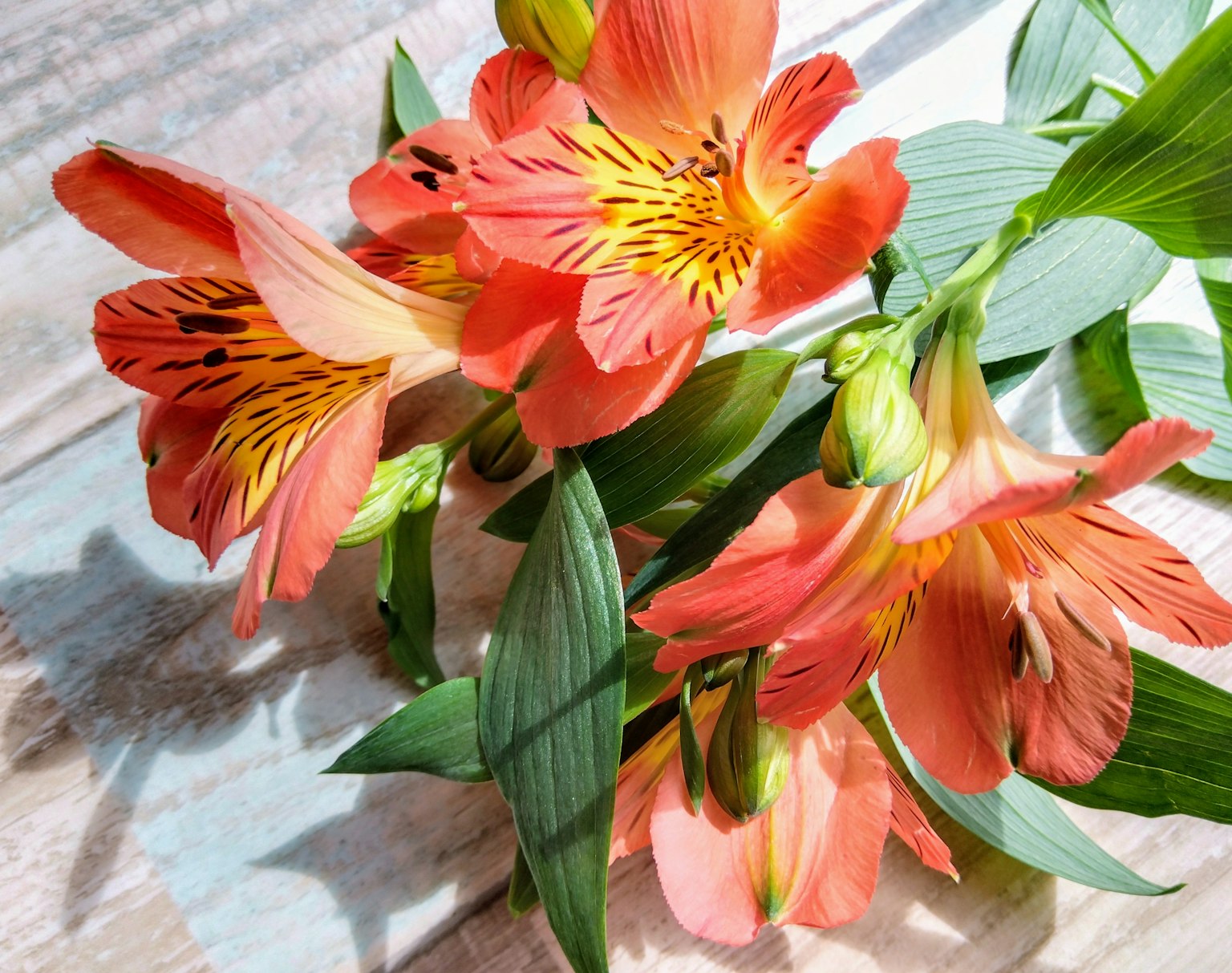 A bouquet of orange Alstroemeria flowers with green leaves