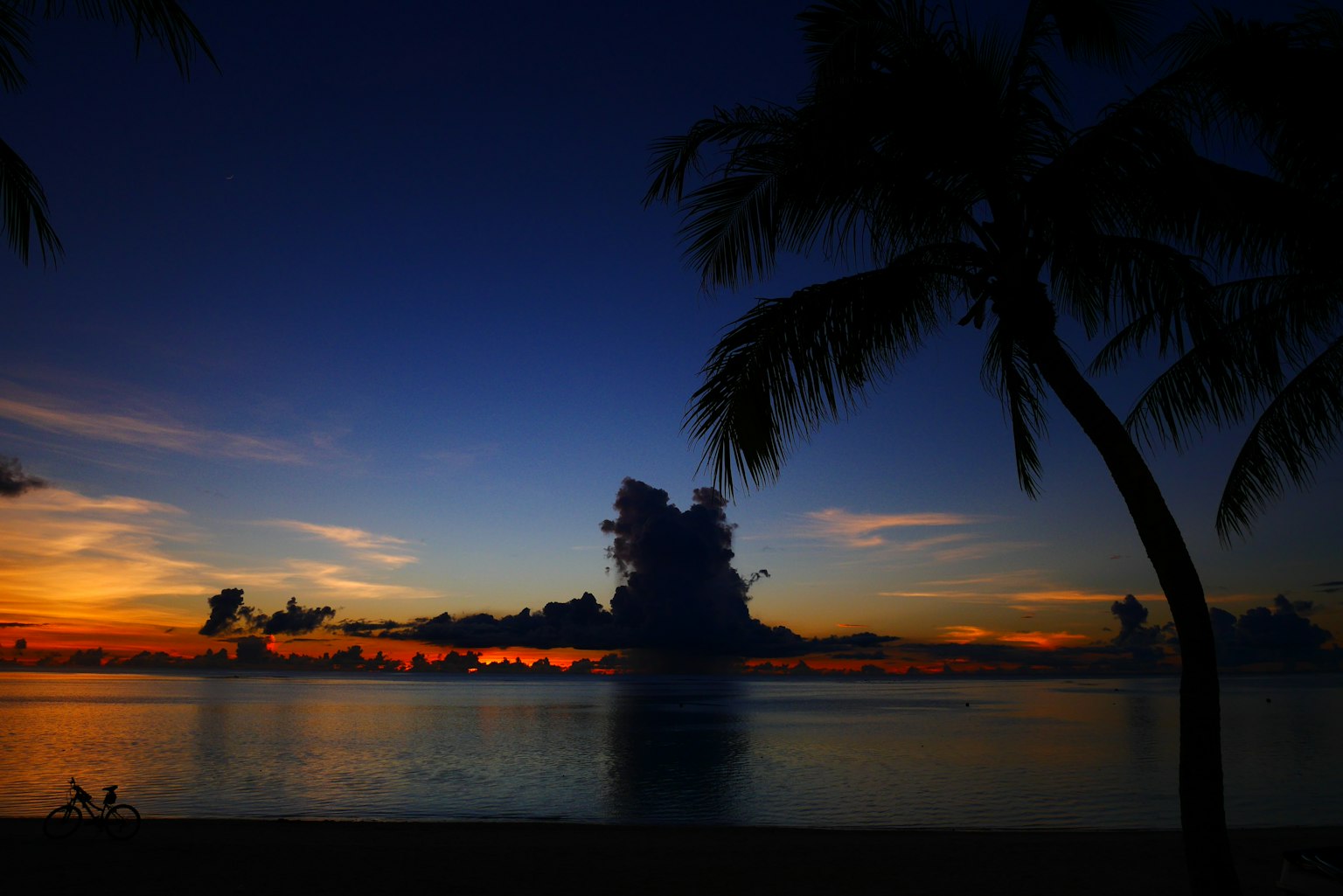Atardecer sobre el océano con cielo azul y naranja y palmeras