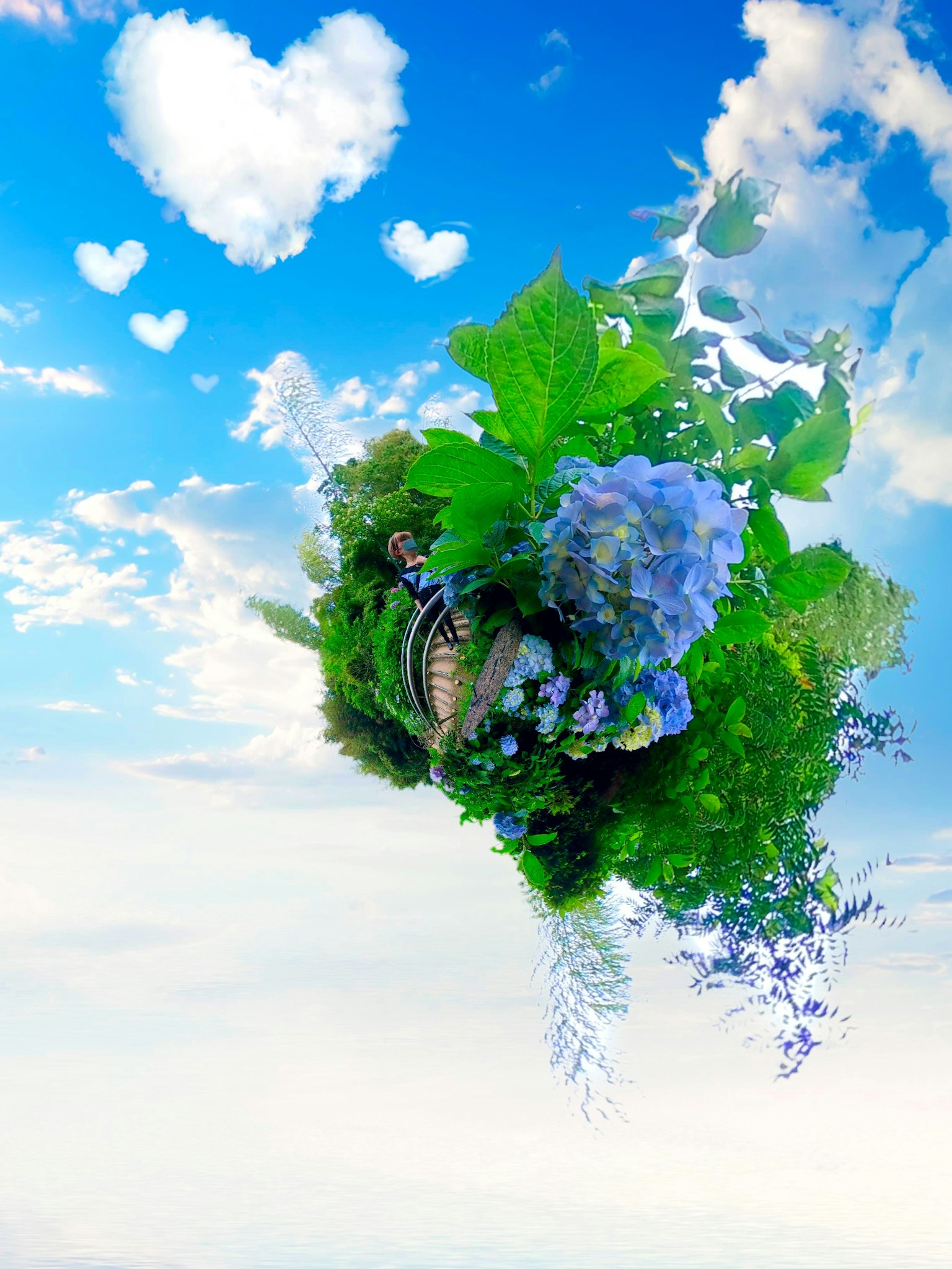蓝天中漂浮着郁郁葱葱的绿树和花朵的奇幻风景