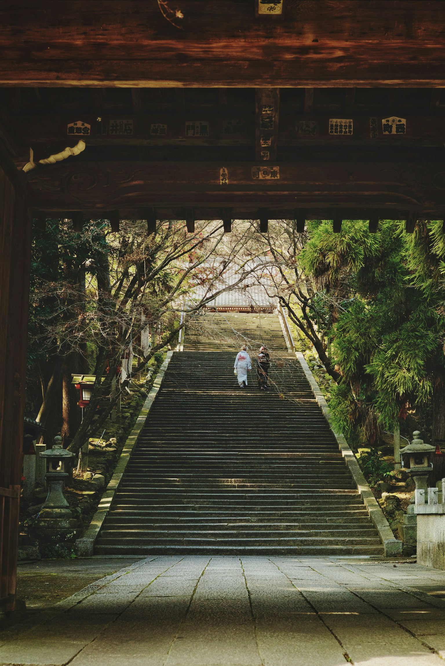 通往宁静神社的石阶,四周被树木环绕