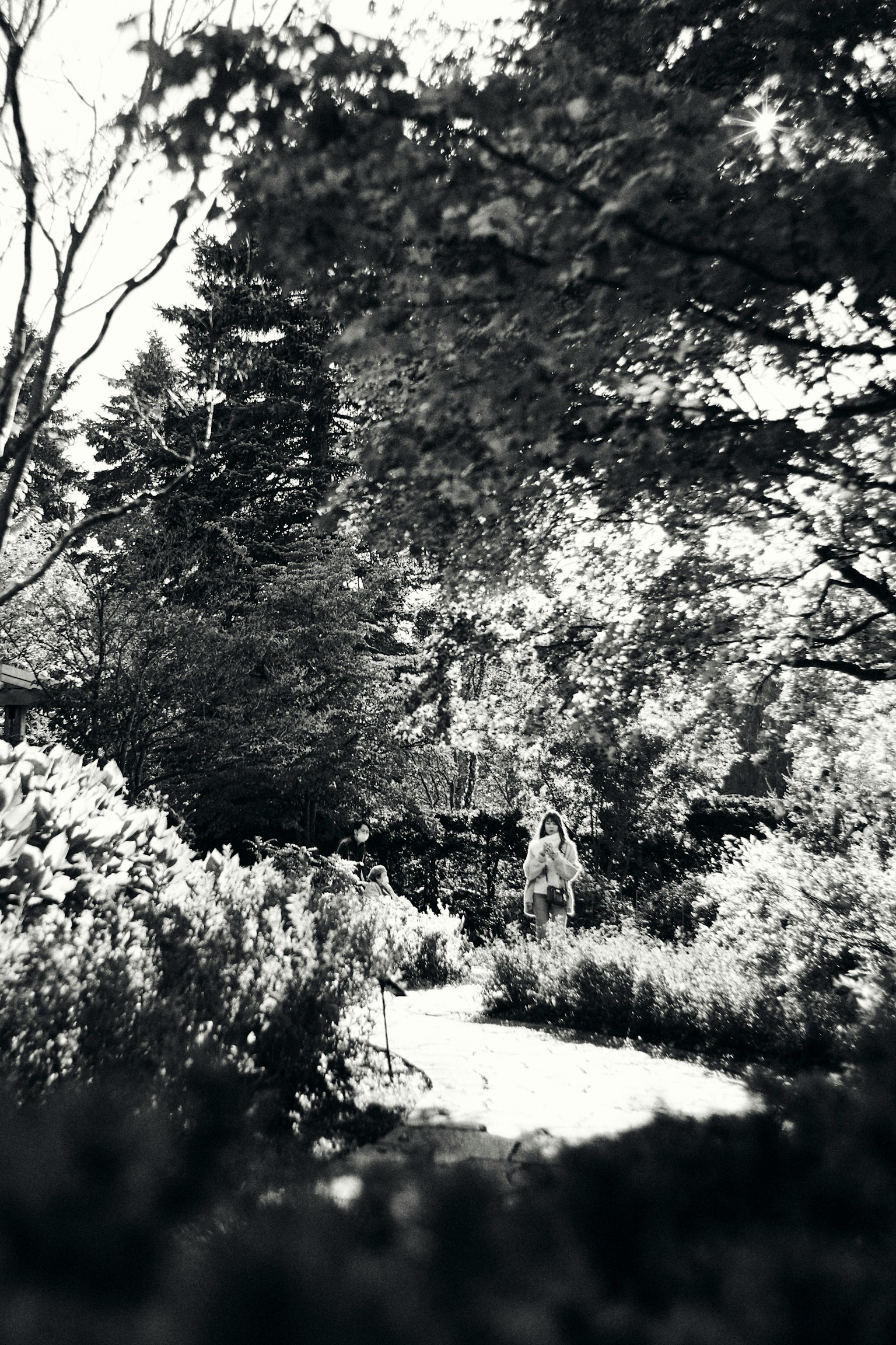 Scena di giardino in bianco e nero con alberi rigogliosi e fiori in fiore in un ambiente sereno