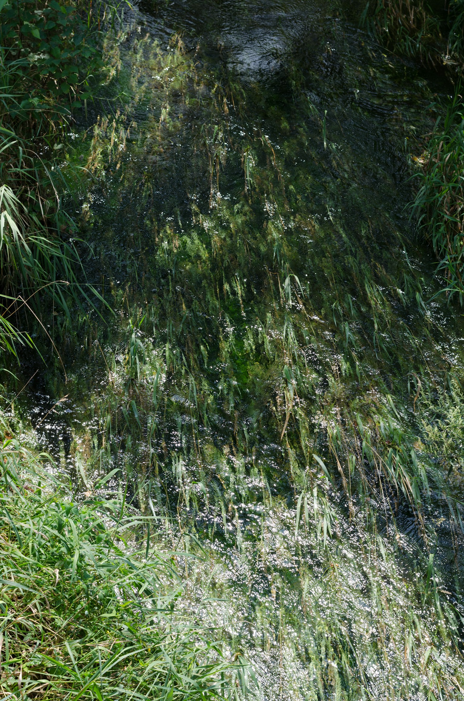 photo-EjT3bZiLxS96nD3xgxq1-image