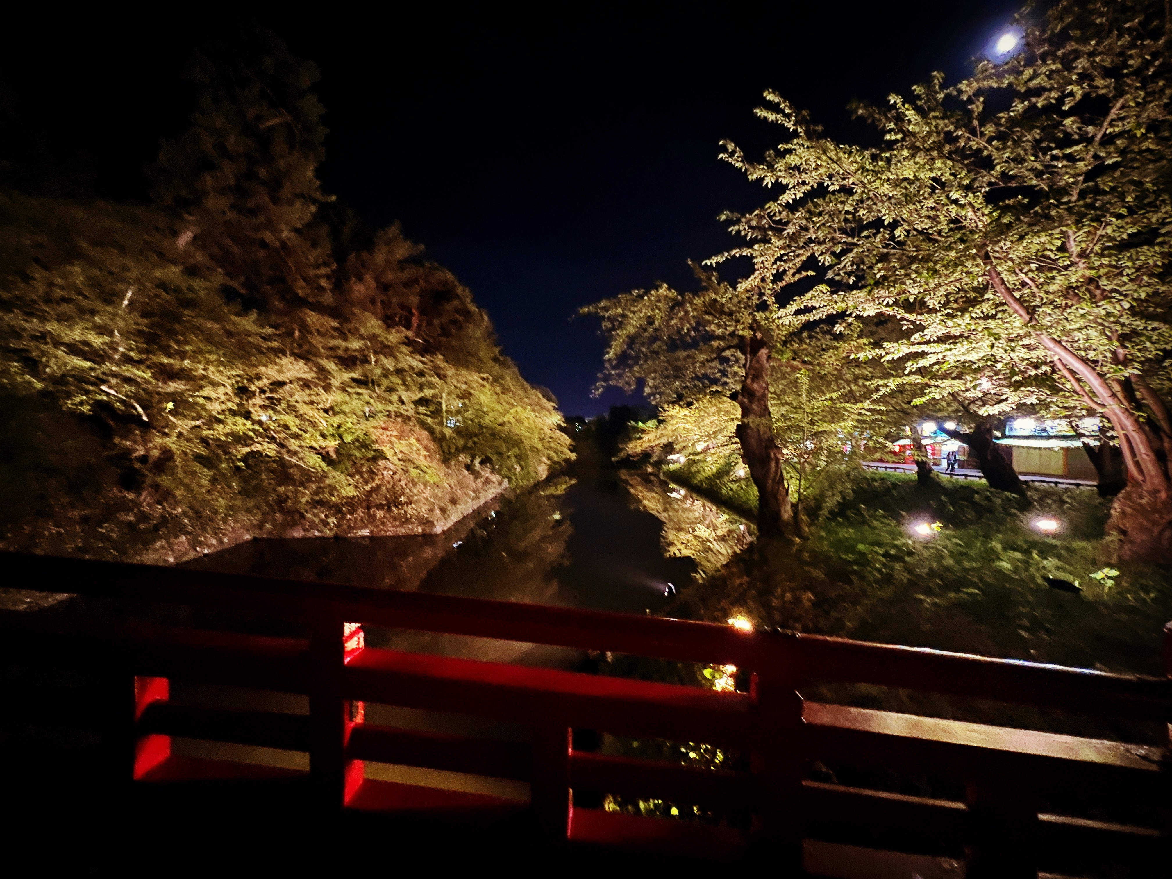 夜の桜並木と赤い欄干のある小道