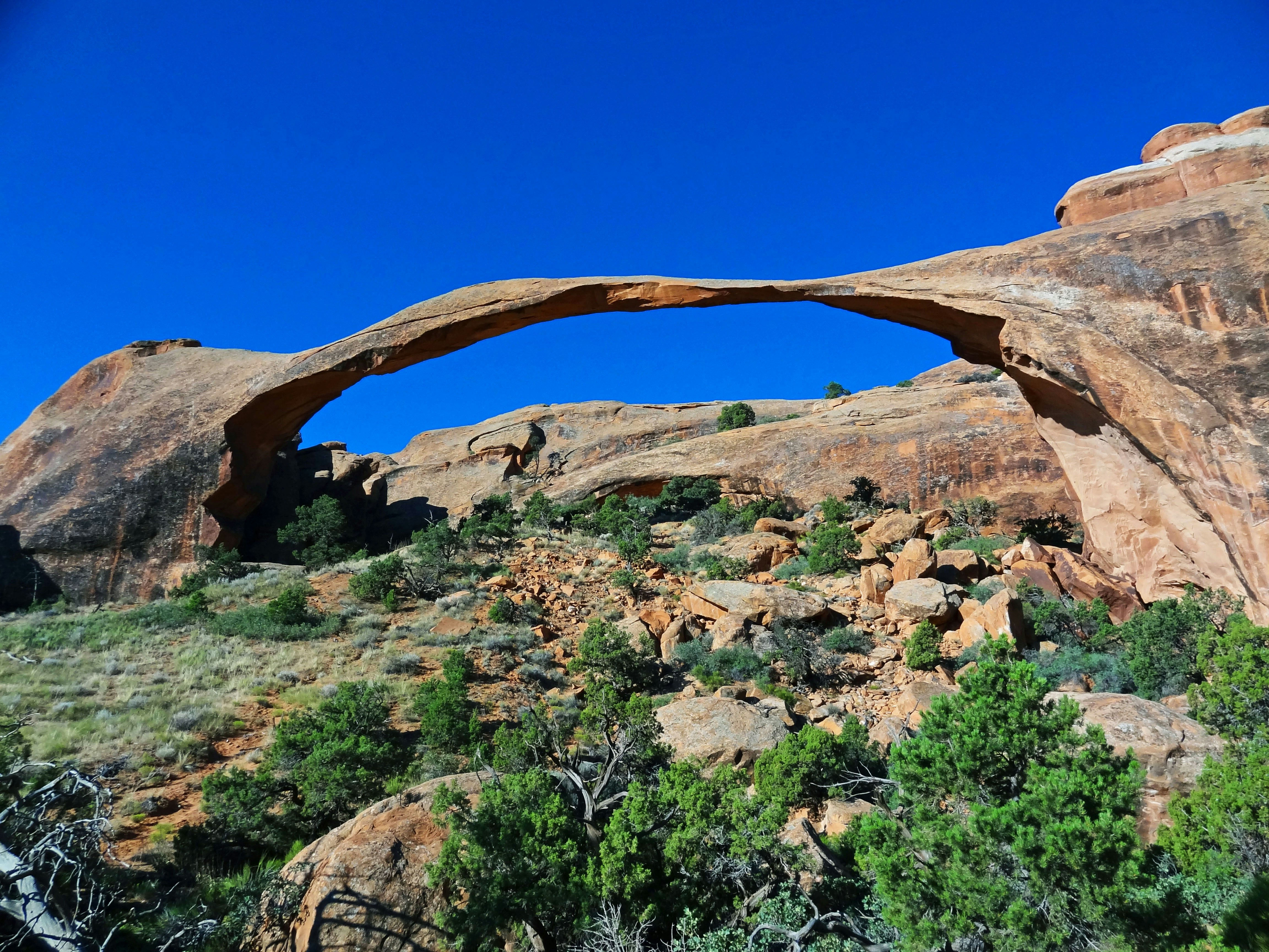 natural landscape with a large rock arch and green shrubs