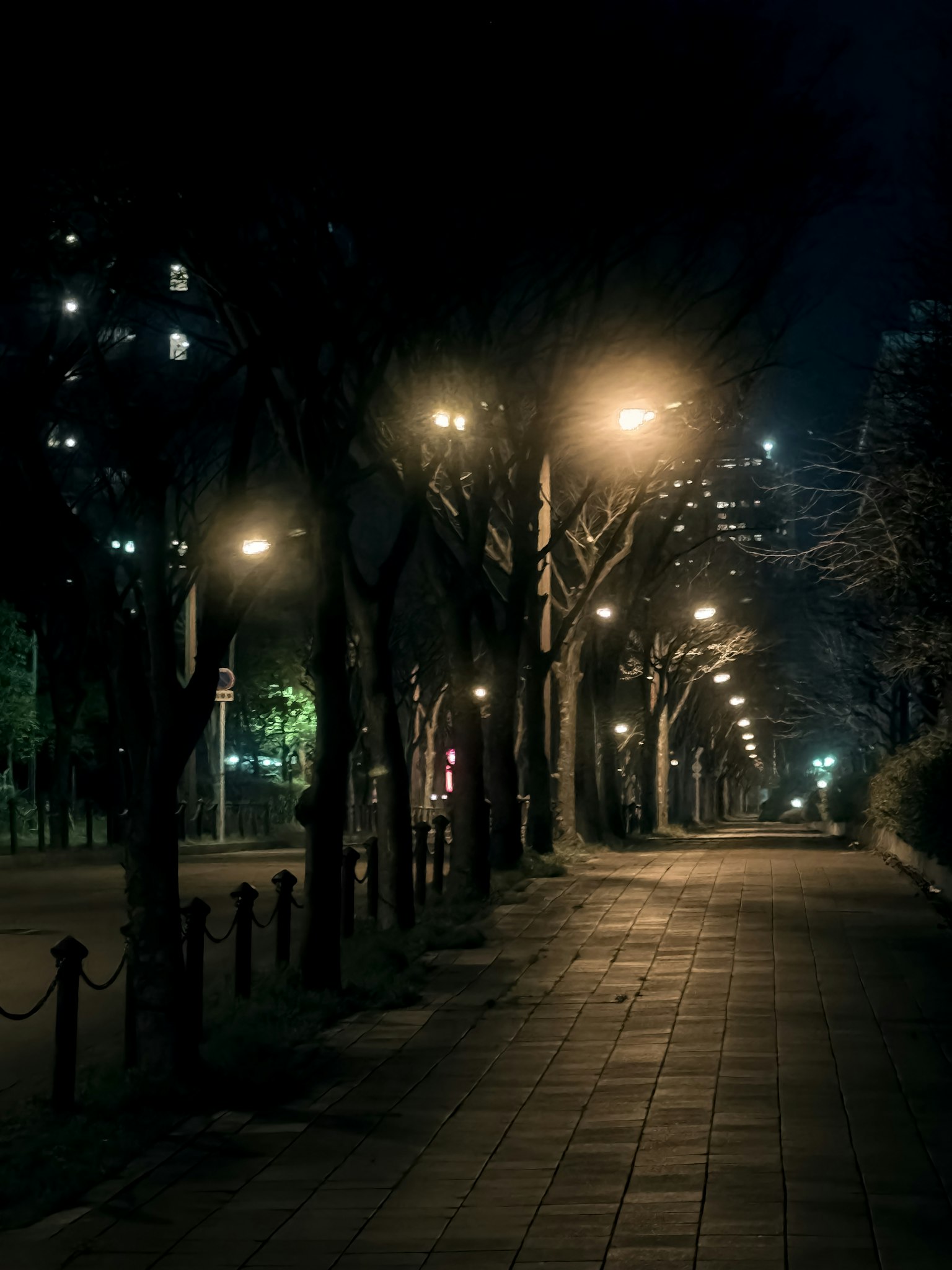 Calle nocturna flanqueada por farolas y árboles