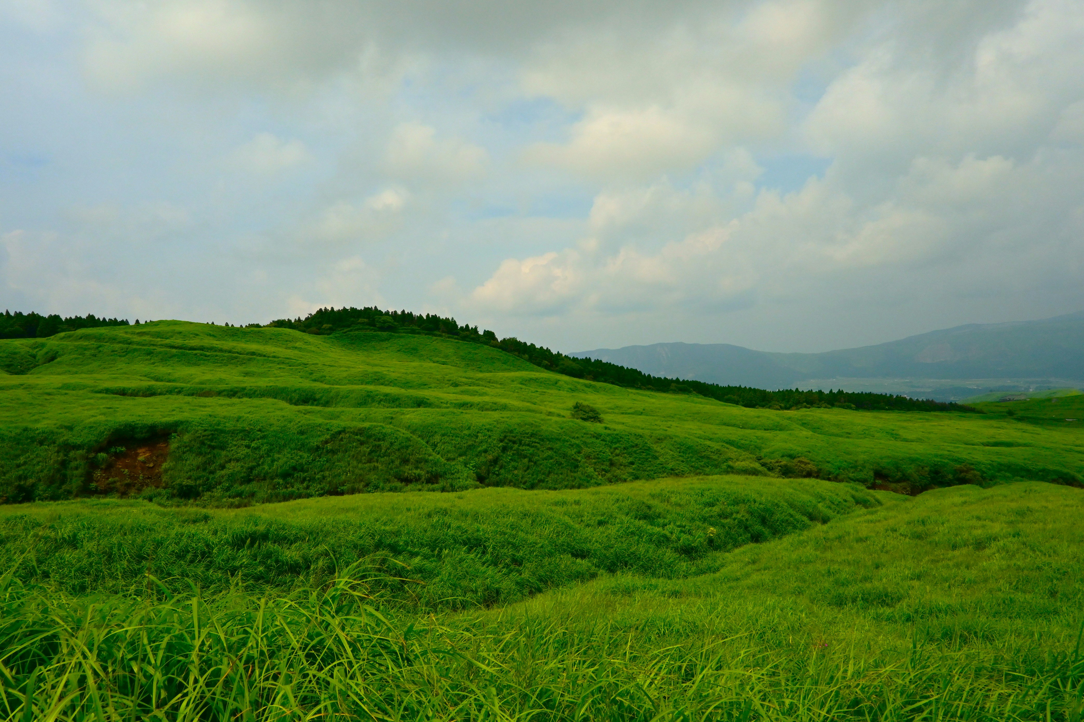 阿苏的绿色草原风景