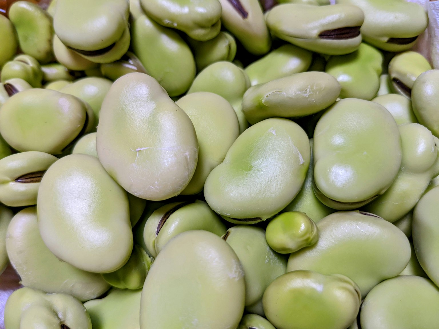 Cận cảnh nhiều hạt đậu fava xanh xếp chồng lên nhau