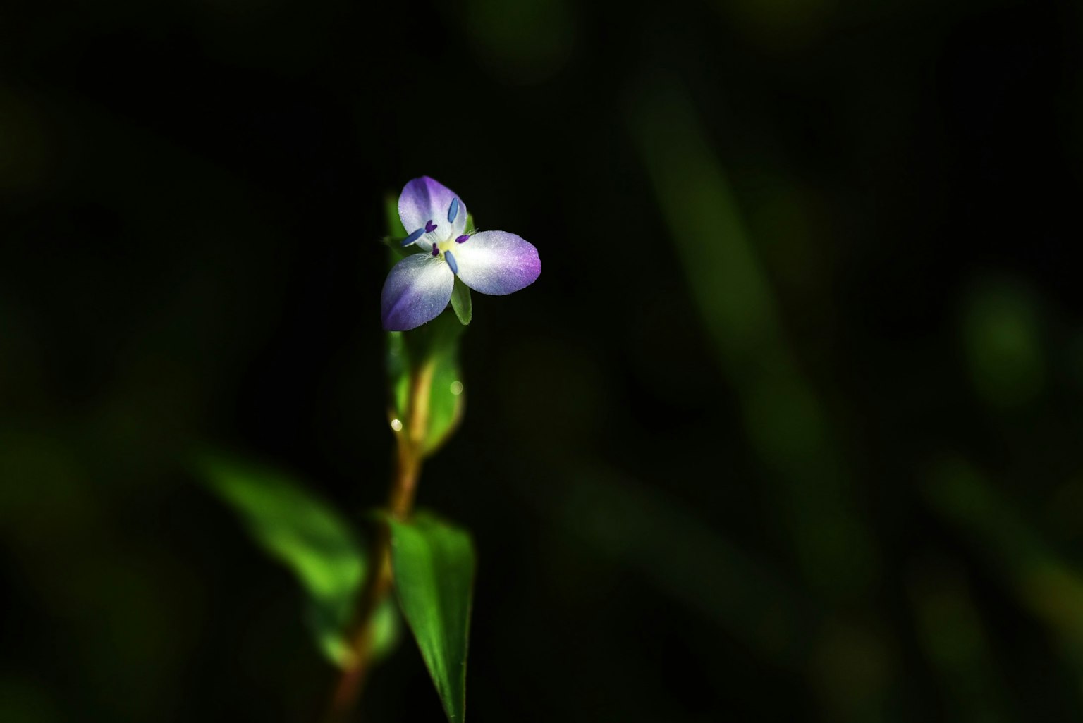 photo-ElFtnOaKCpGISEqIYRJj-image