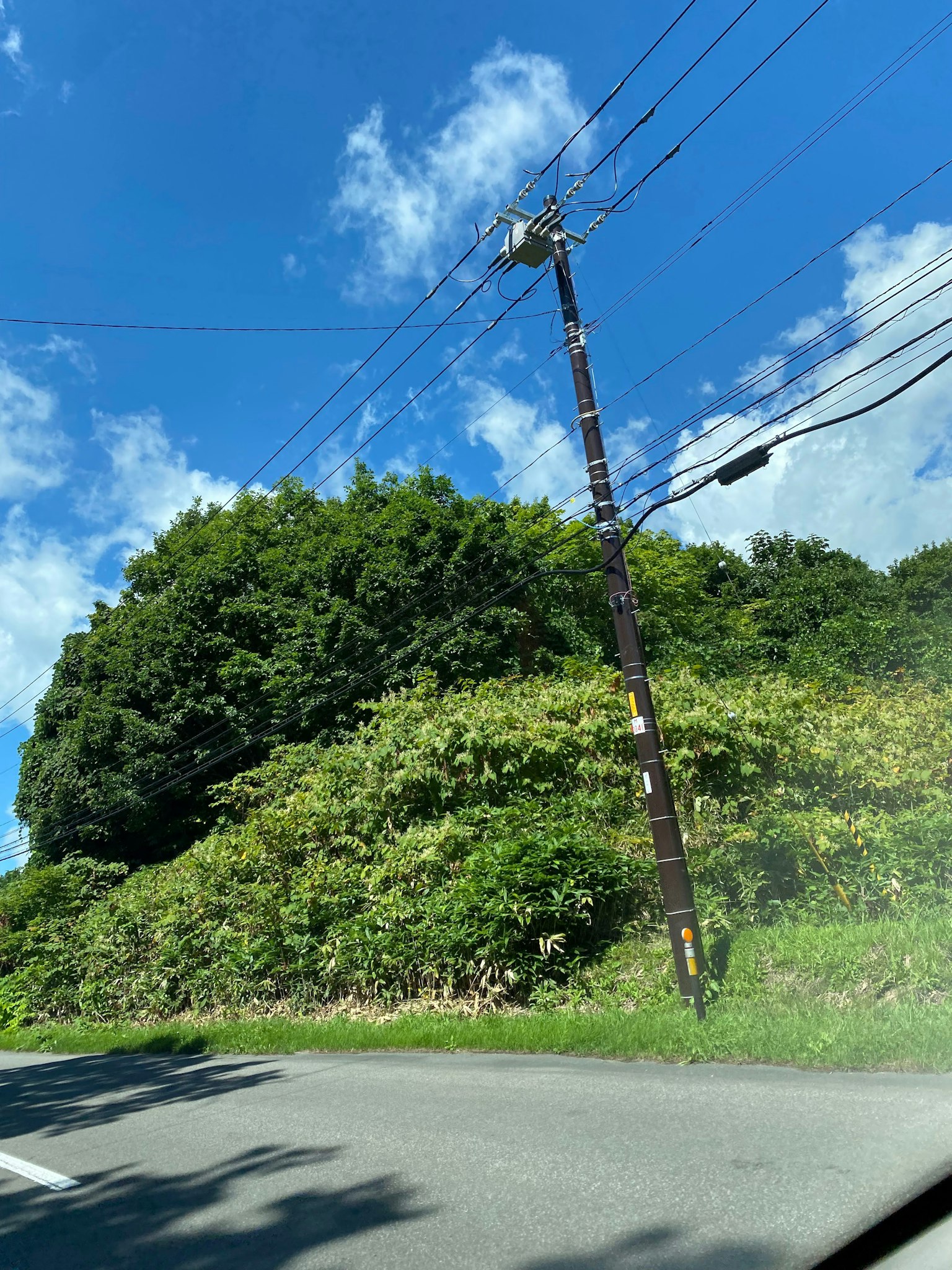 Landschaft mit einem Strommast und üppigem Grün unter einem blauen Himmel