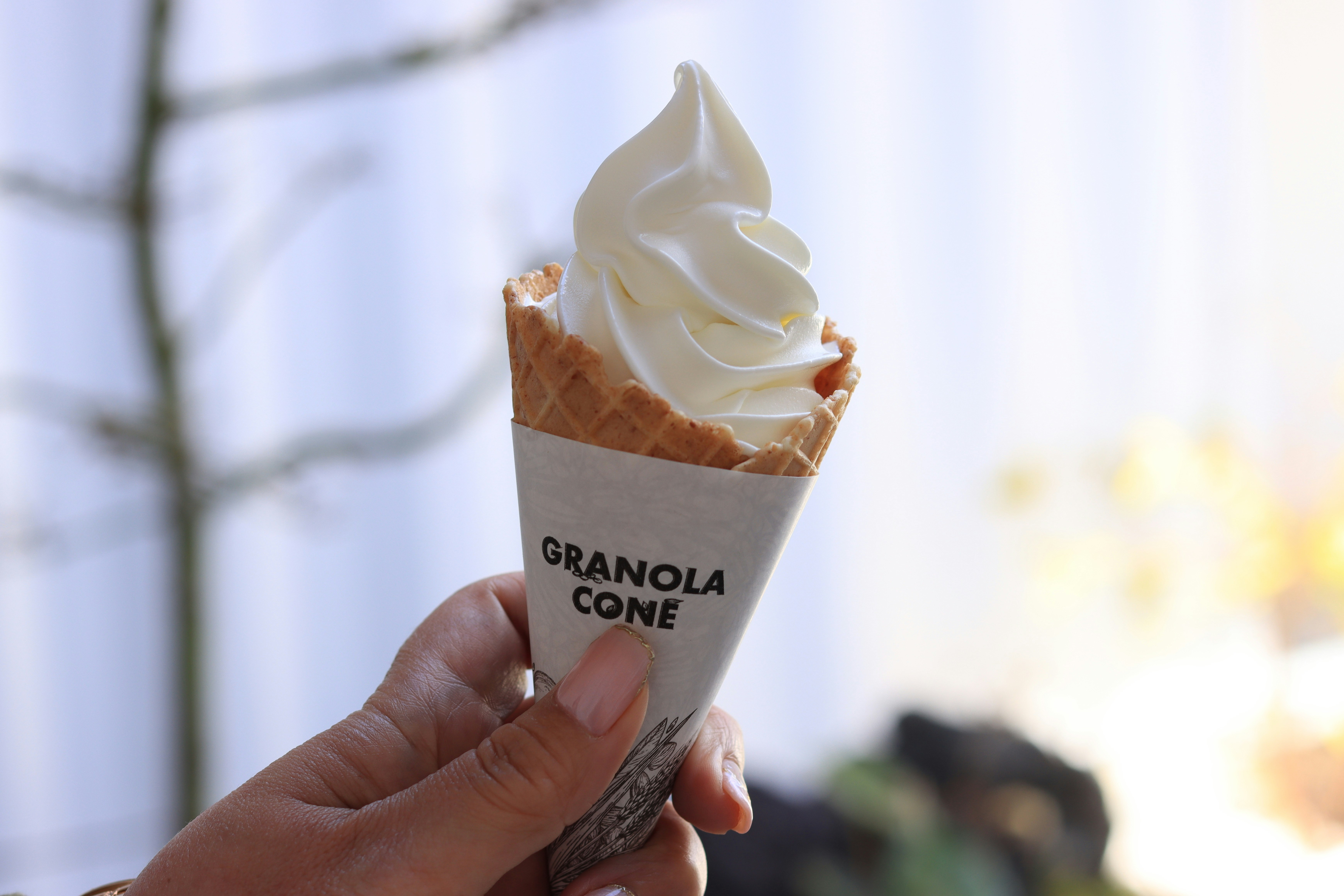 granola cone soft serve ice cream