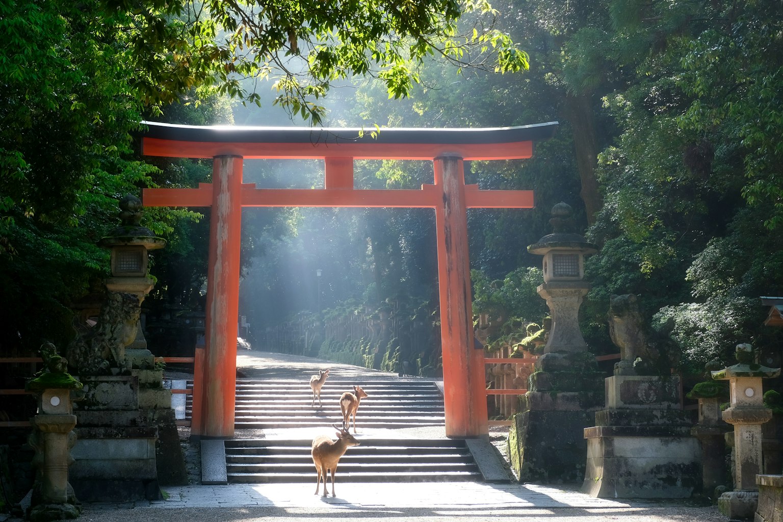 photo-EmQz9g6Le5vxF2T1wTaV-image