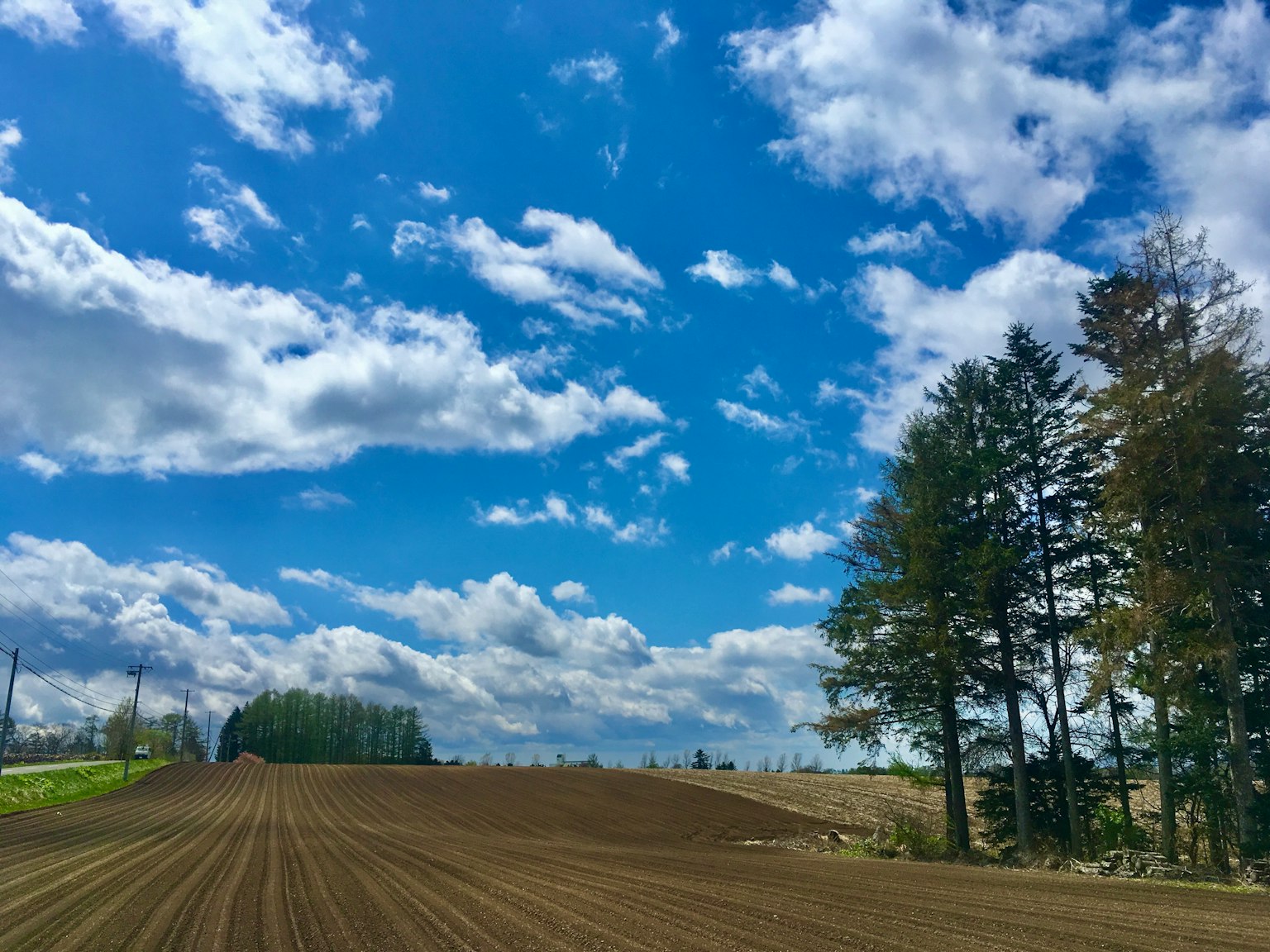 Landscape featuring blue sky and white clouds with green fields and plowed soil