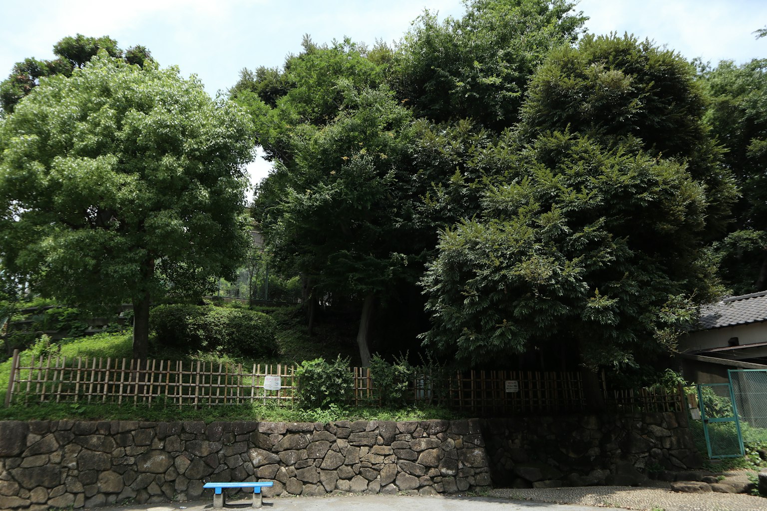 Un giardino circondato da alberi verdi lussureggianti con muri di pietra