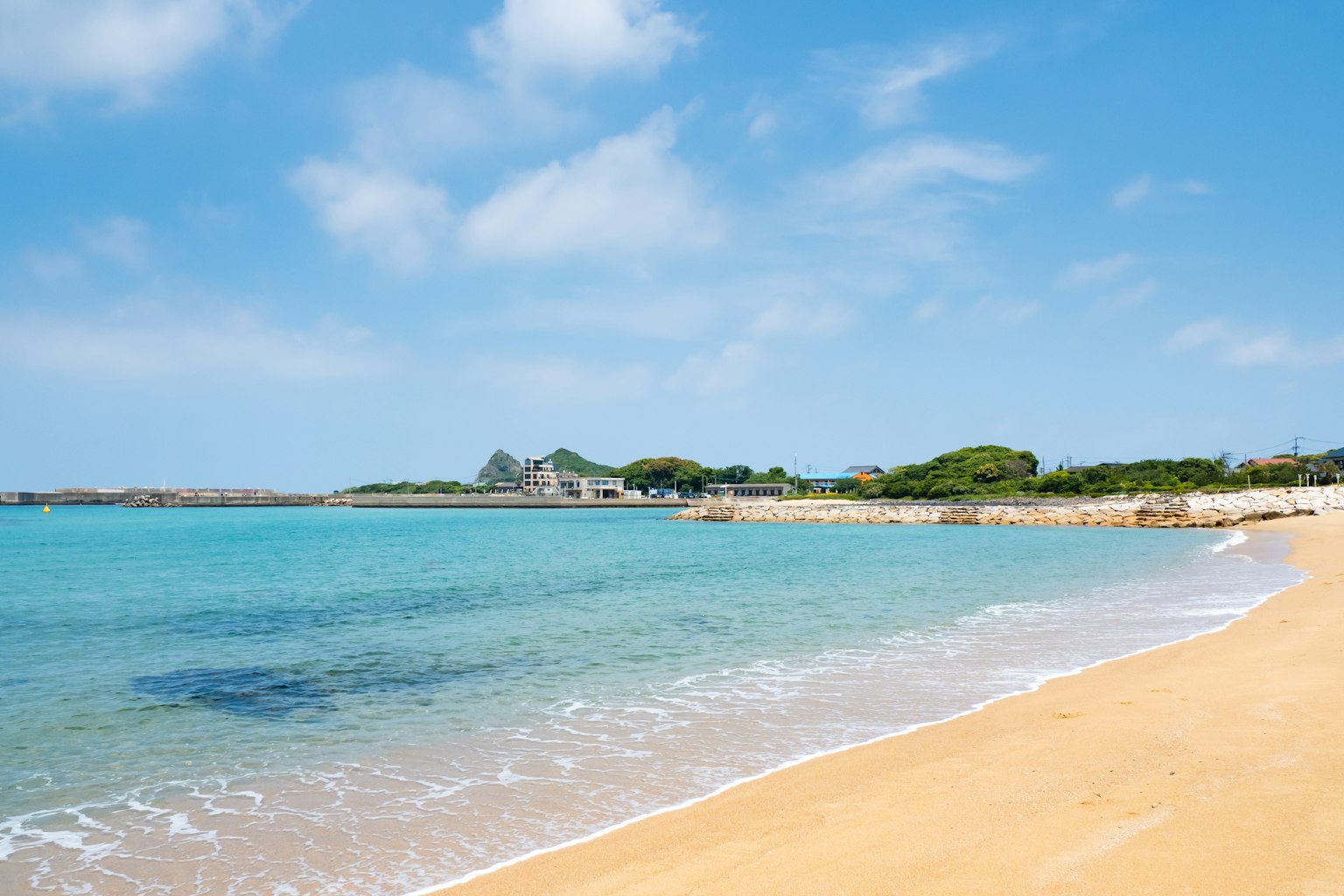 海滩的风景 蓝色海水和金色沙滩 背景中的绿色树木