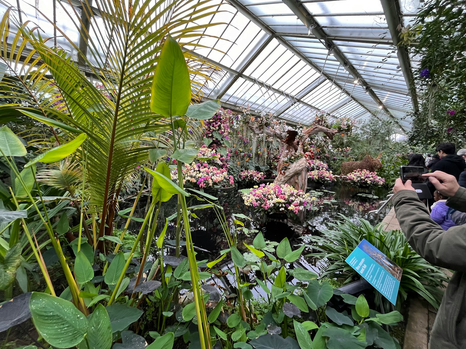 Üppige grüne Pflanzen und bunte Blumen in einem Gewächshaus mit Menschen, die Fotos machen