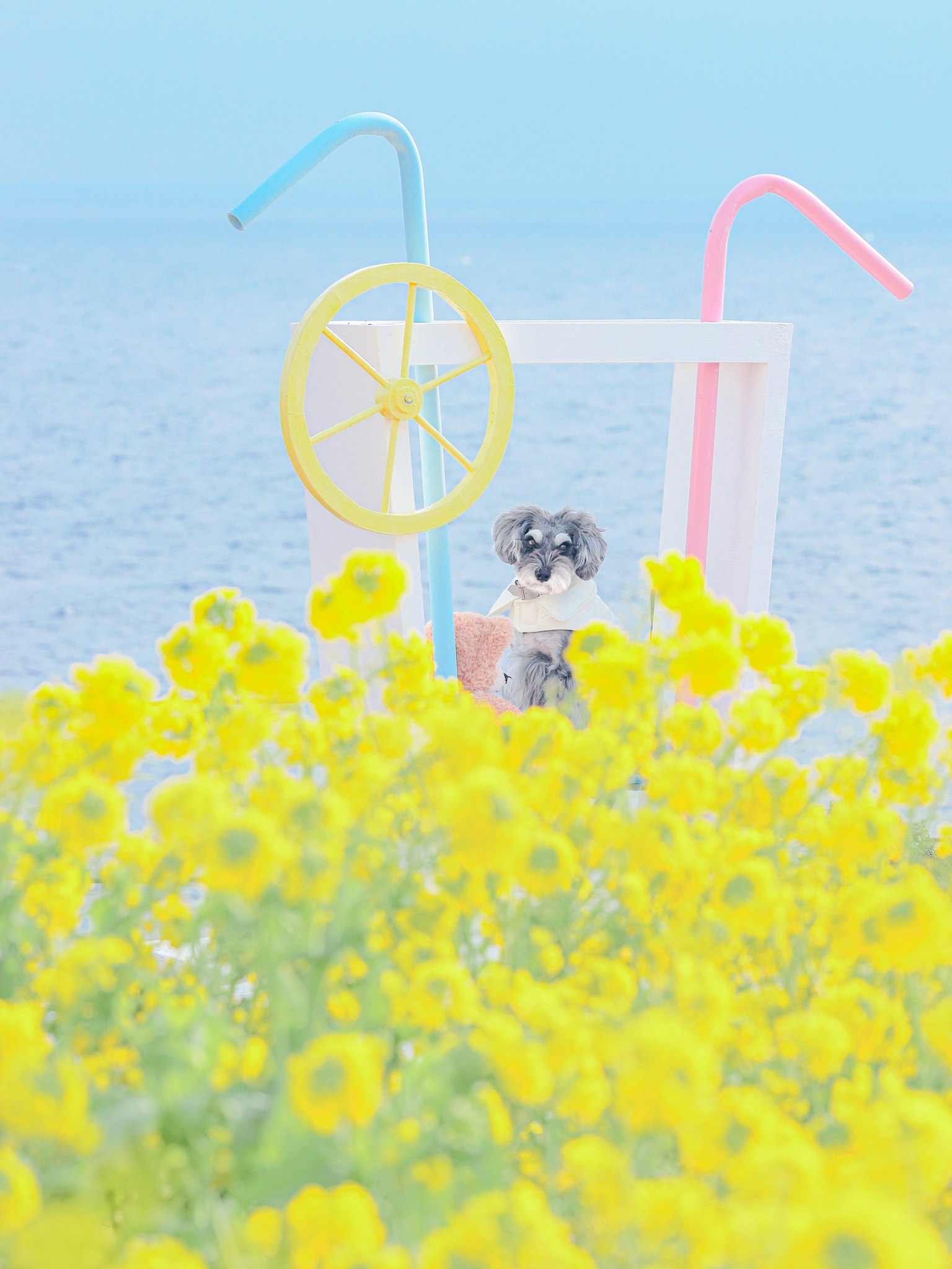 Scena con fiori gialli e cannucce colorate sullo sfondo marittimo