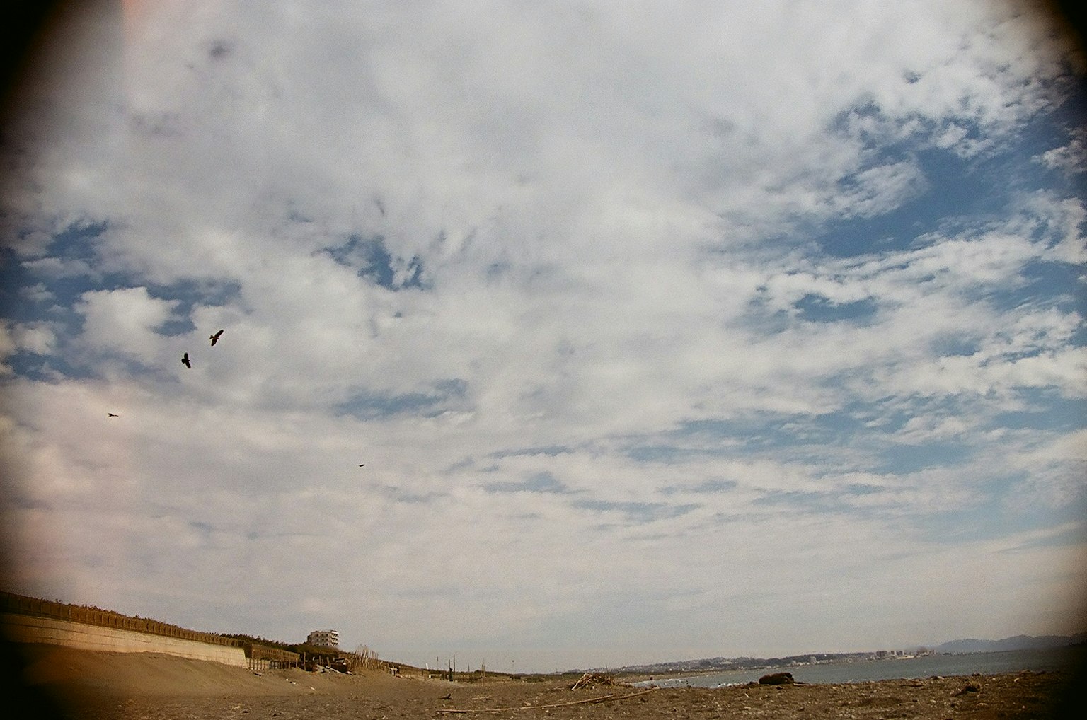 Paisaje costero bajo un cielo nublado con aves volando