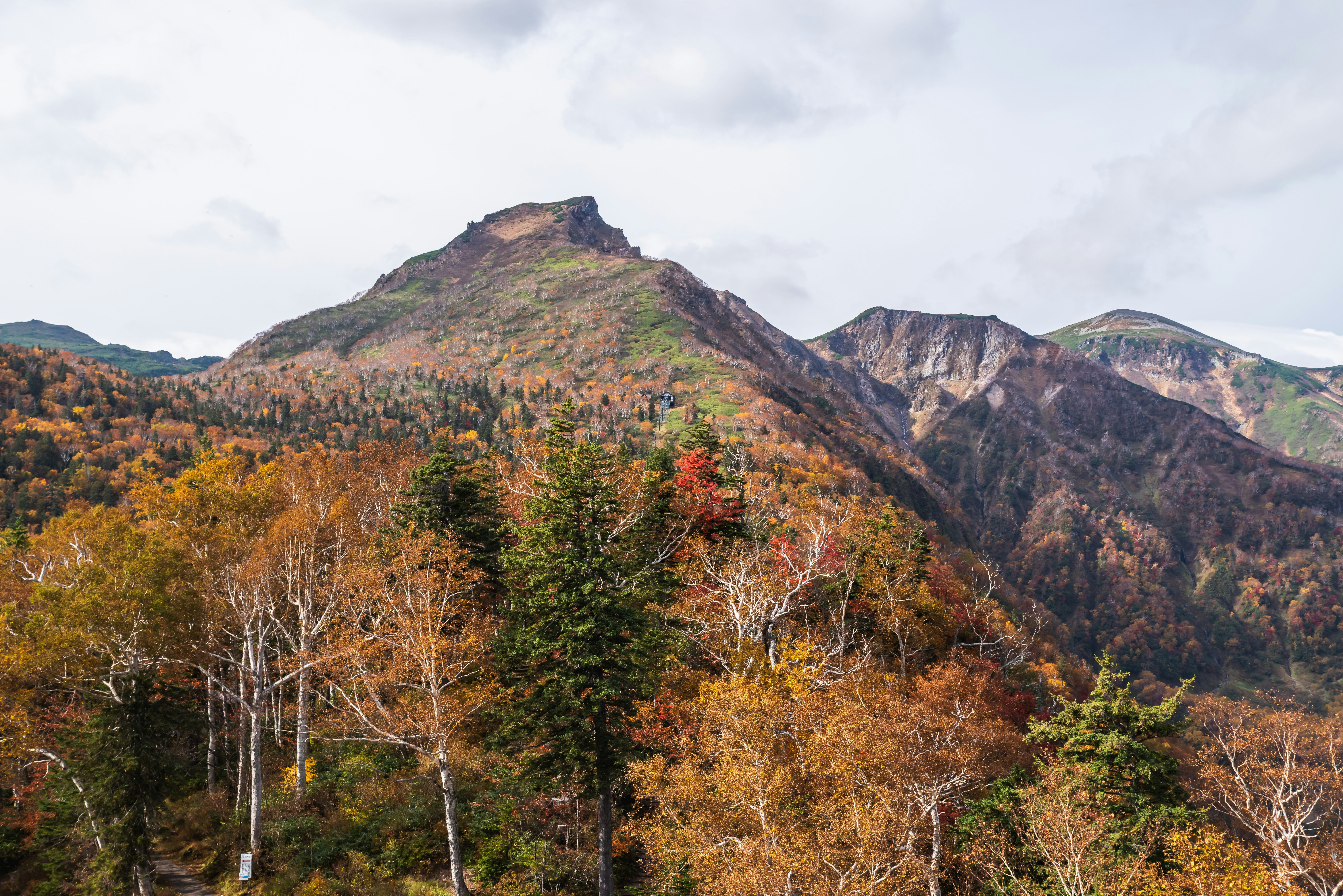 Herbstlicher Wald mit Blick auf die Bergkette des Kurodake im Daisetsuzan-Nationalpark, Hokkaidō