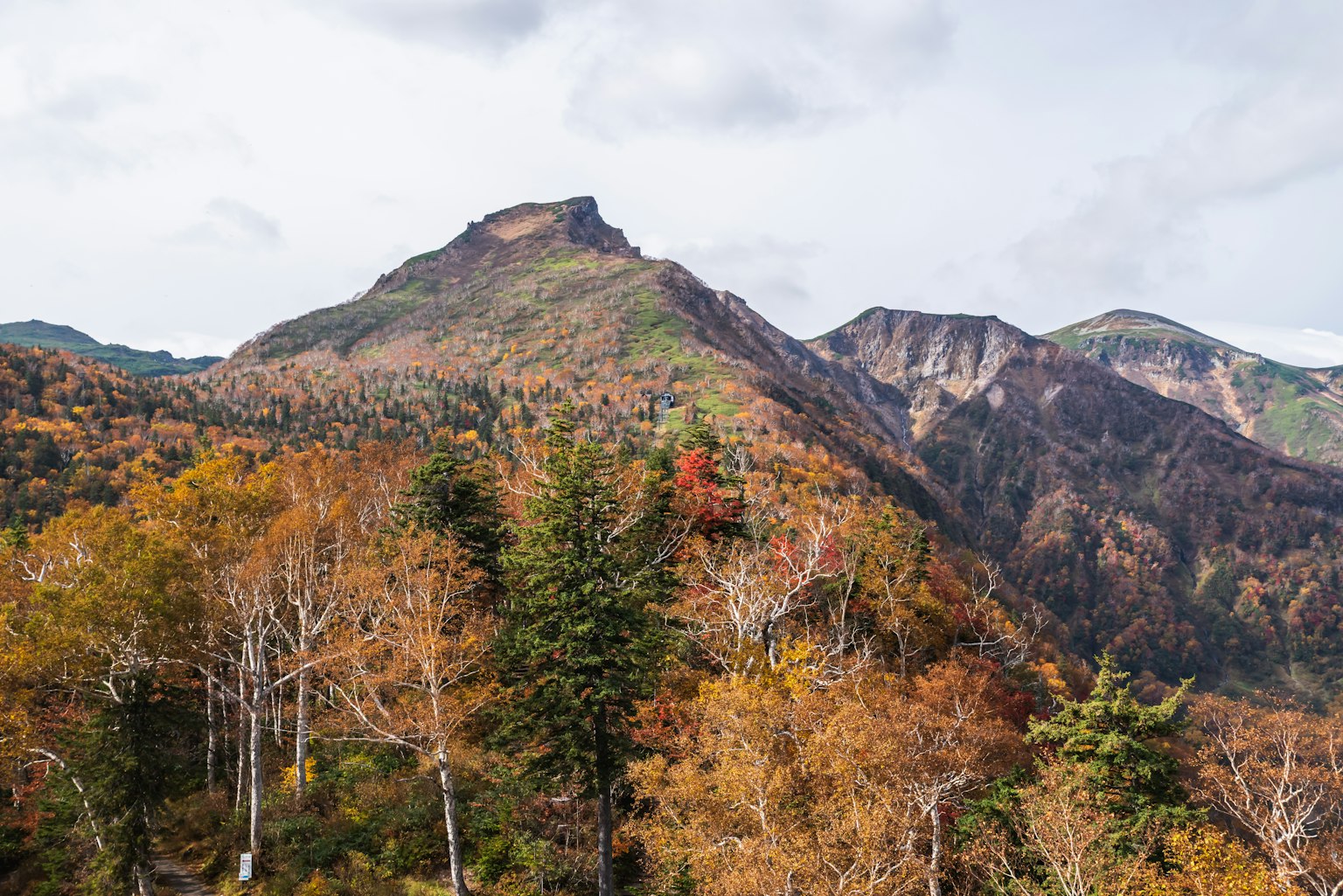 Cảnh núi và cây cối trong màu sắc mùa thu