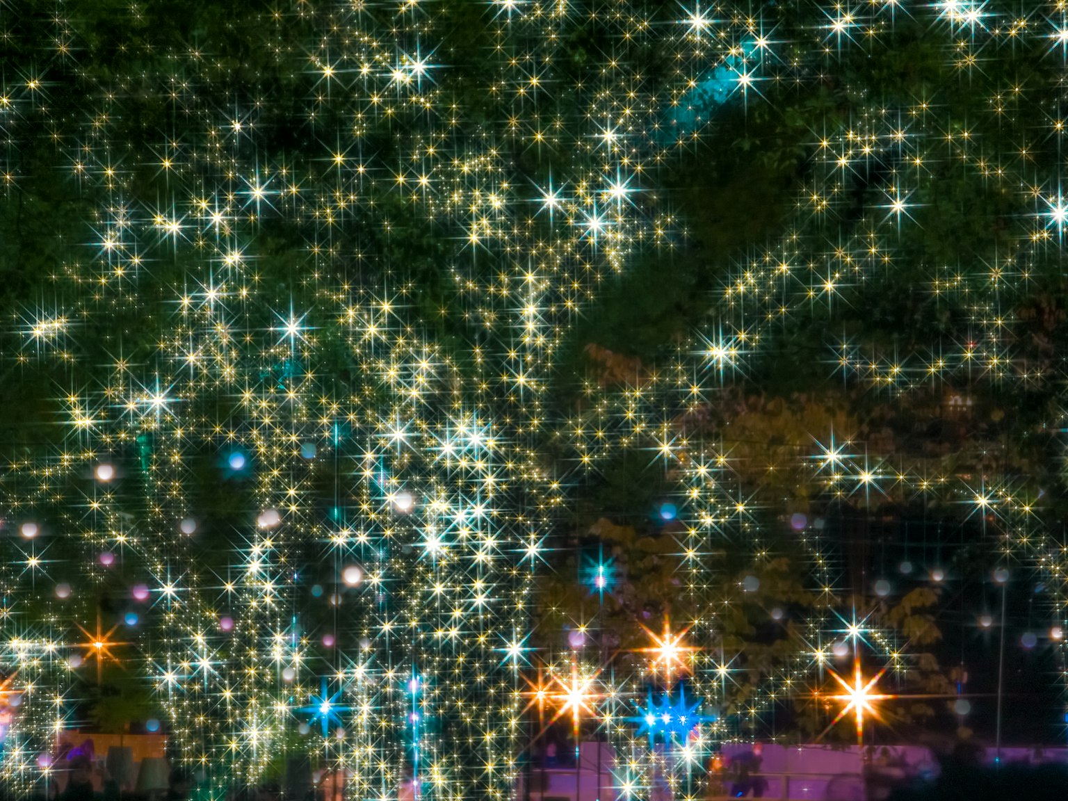 Alberi illuminati con luci scintillanti di notte