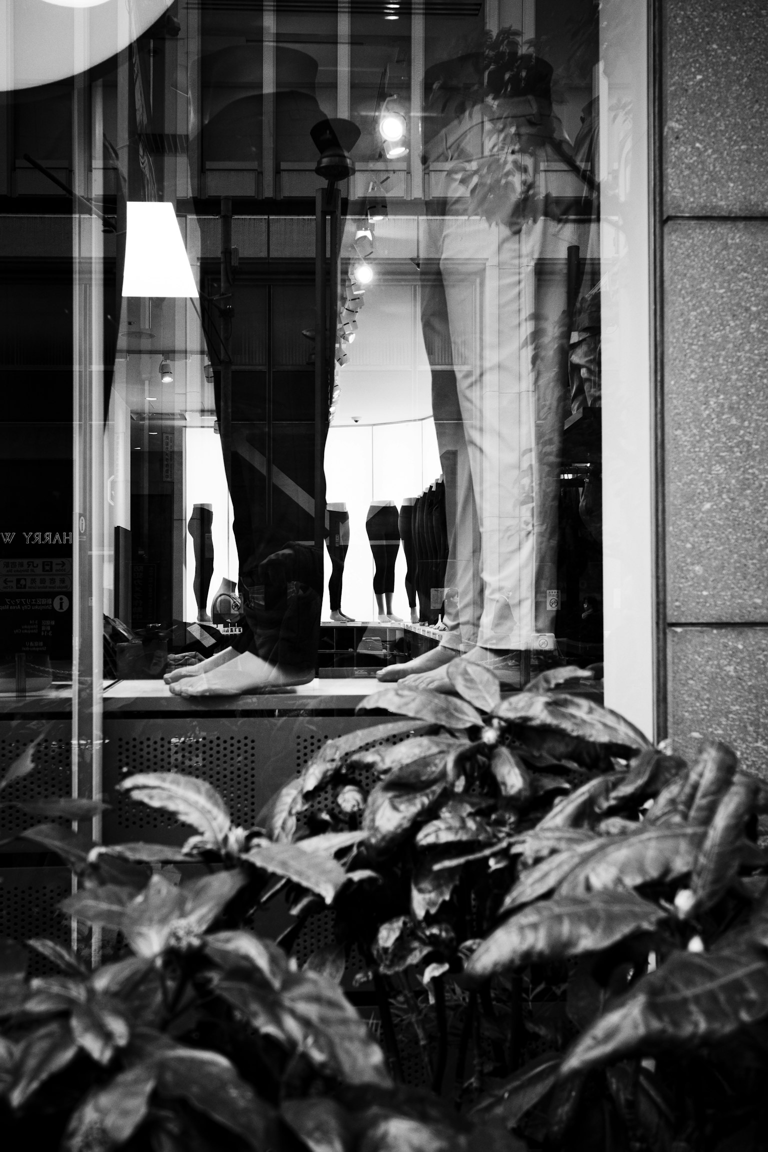 Silhouettes of mannequins and plants reflected in a black and white storefront window