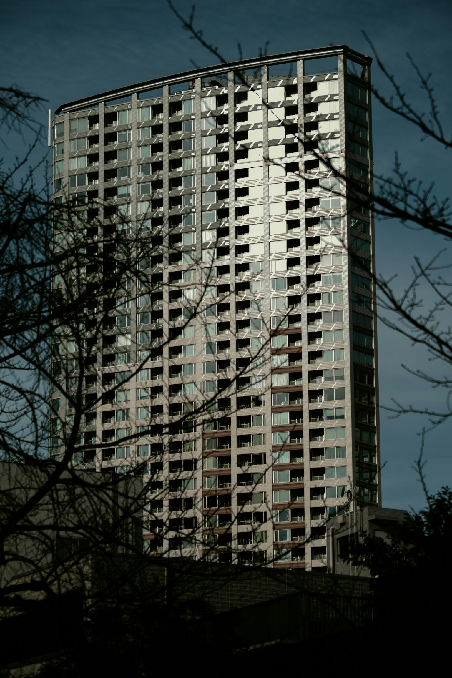 Facciata di un alto edificio riflessa attraverso rami di alberi