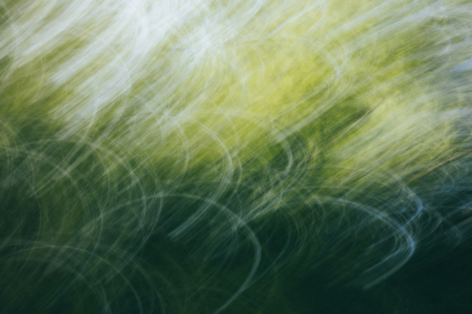 Image abstraite de motifs tourbillonnants verts et blancs