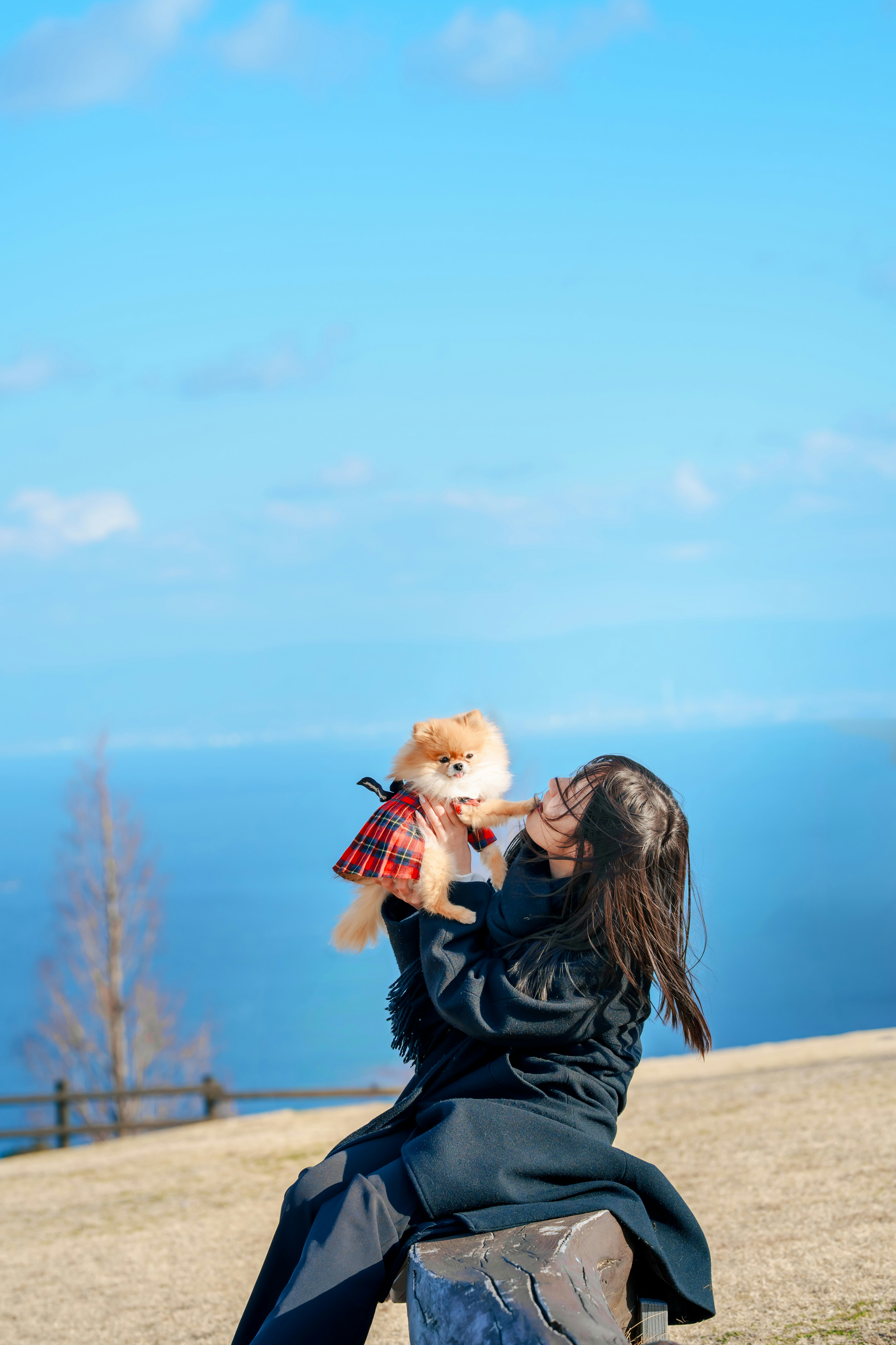 青い空の下で犬を抱く女性の写真