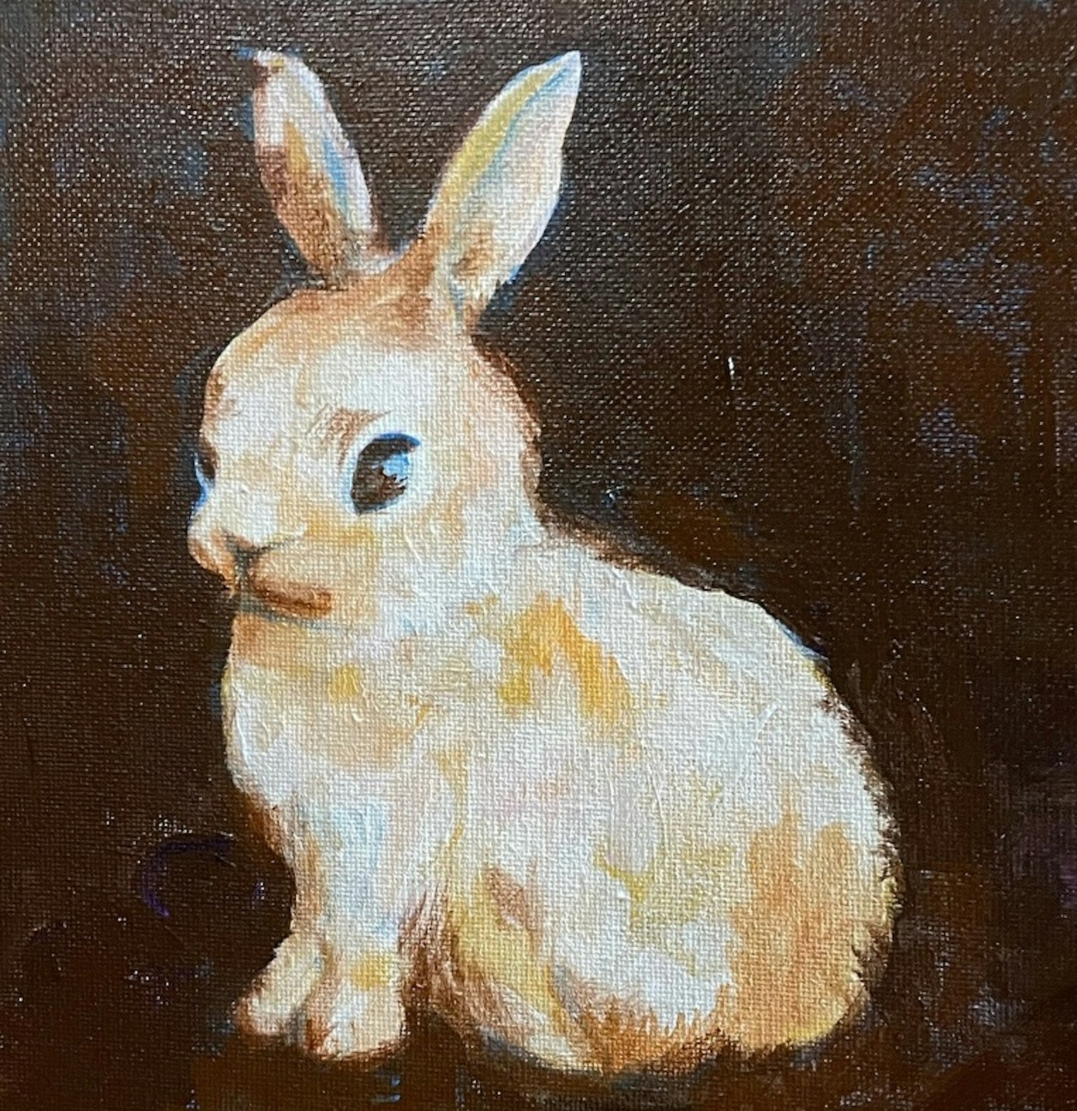 Ein weißer Hase, der vor einem braunen Hintergrund sitzt
