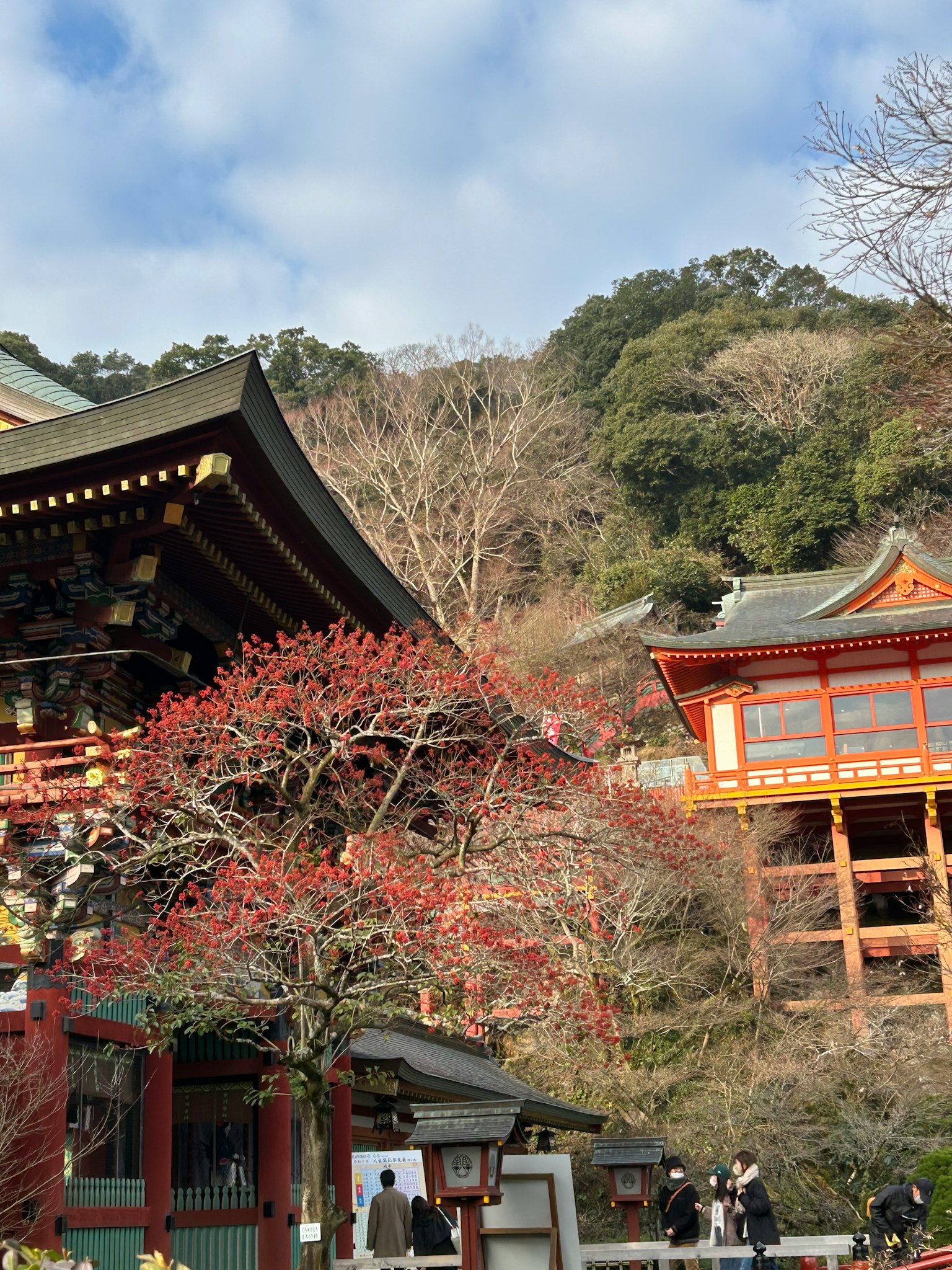 Vue panoramique avec un arbre aux feuilles rouges et des bâtiments traditionnels