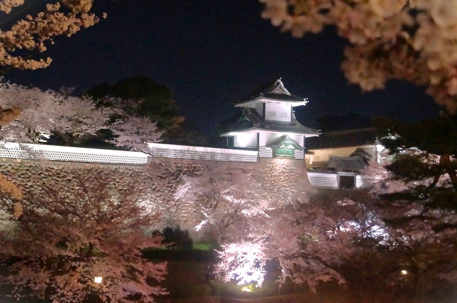 櫻花和城堡的美麗夜景