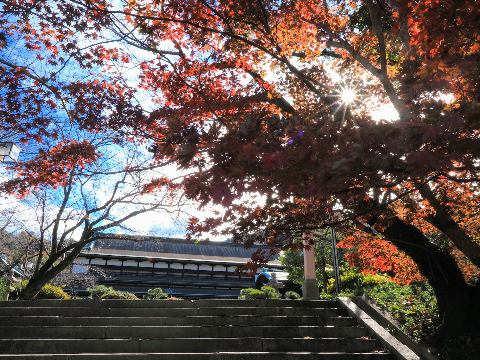 Hermoso follaje de otoño que resalta escaleras y cielo azul