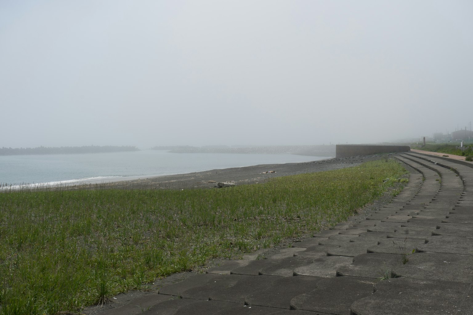 雾中的海岸景观及草地