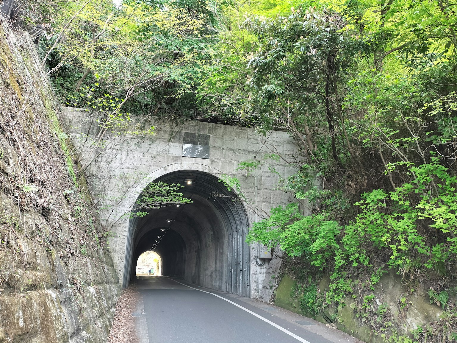 Entrée du tunnel entourée de verdure et route