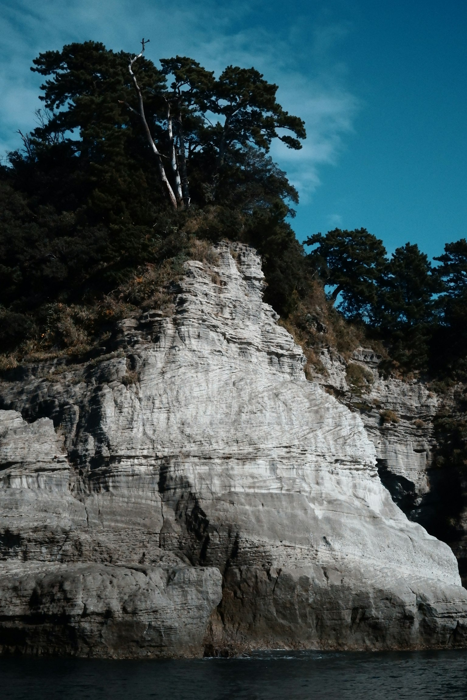 Cliff bianco con alberi sotto un cielo blu