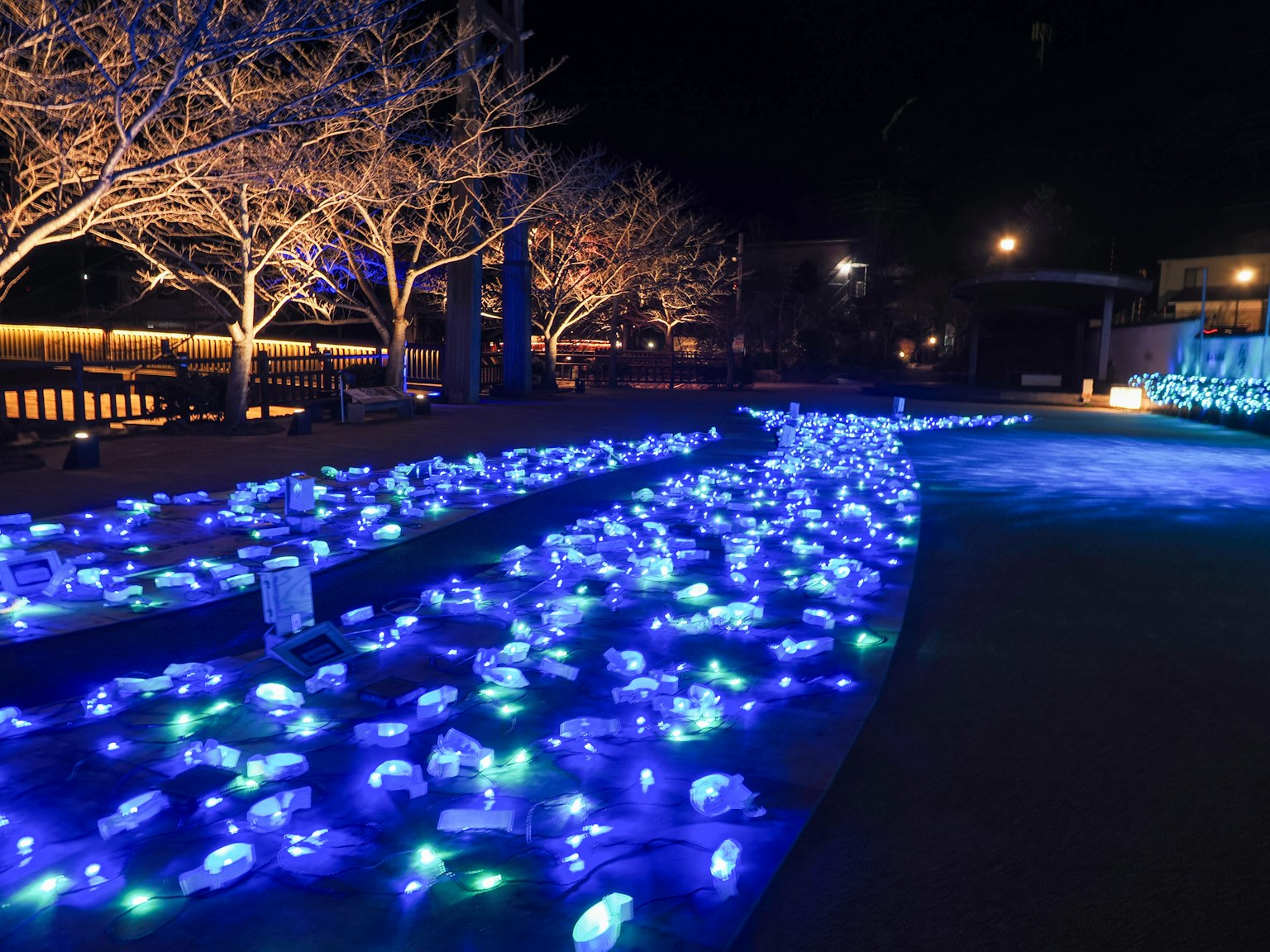 Nachtszene eines Parks, beleuchtet mit blauen und grünen Lichtern