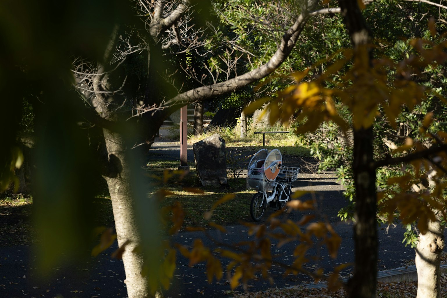 Un cochecito en un parque rodeado de follaje otoñal