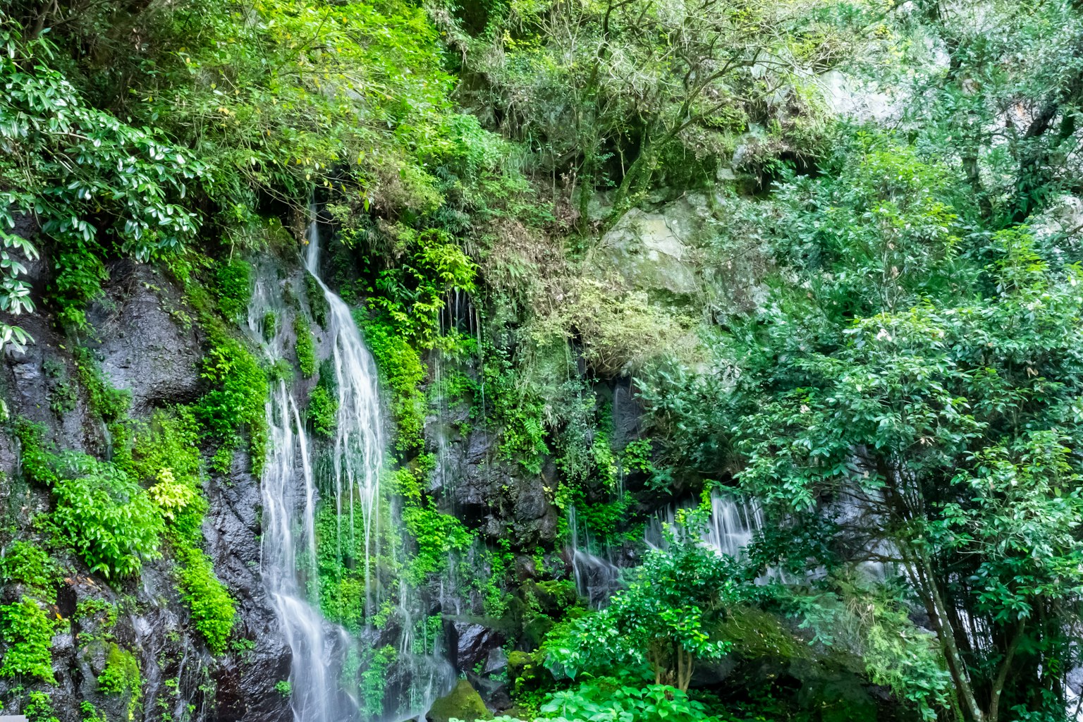 Üppiger Wasserfall, der von einer felsigen Klippe inmitten lebhafter Vegetation herabstürzt