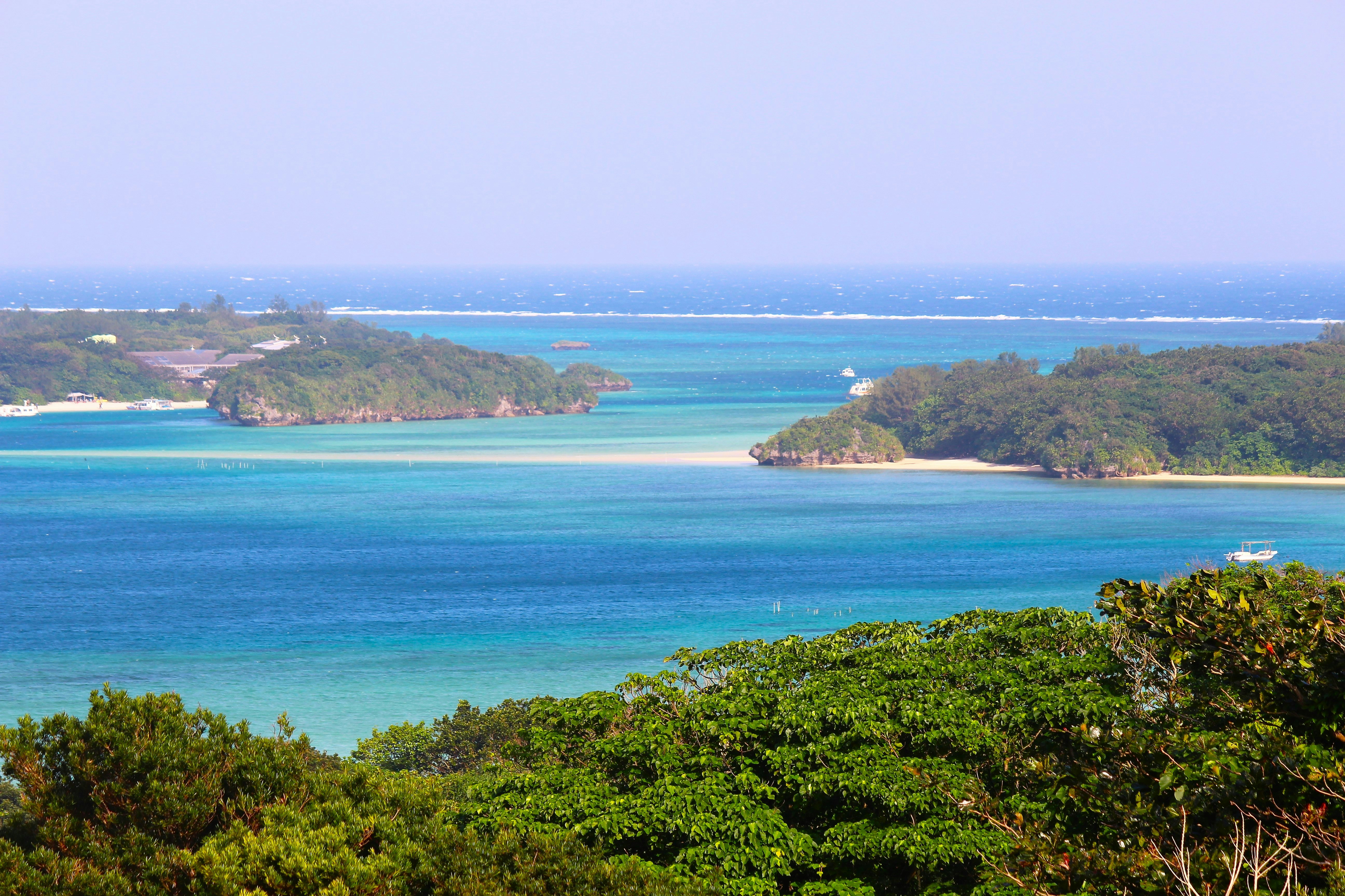 緑の岬から見下ろすターコイズの海と入り江の風景