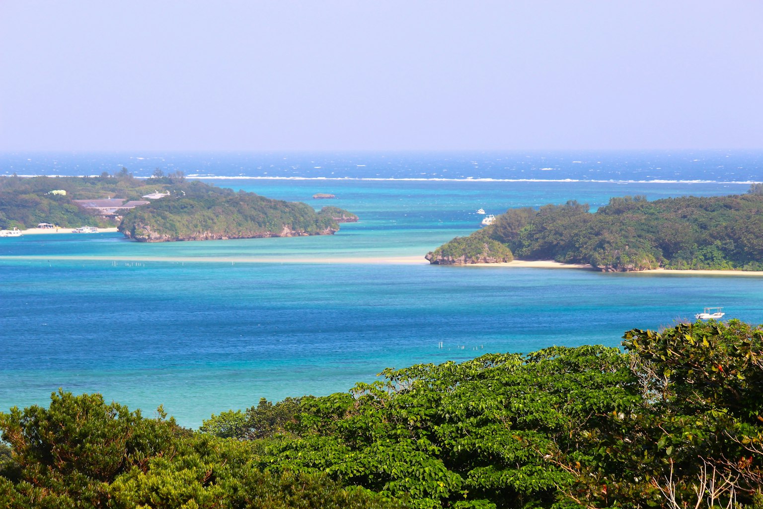 Vista escénica del océano azul y árboles verdes