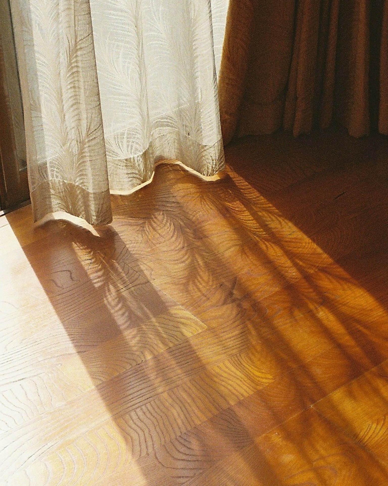 Scène d'ombres de rideaux sur le sol Sol en bois clair avec lumière du soleil