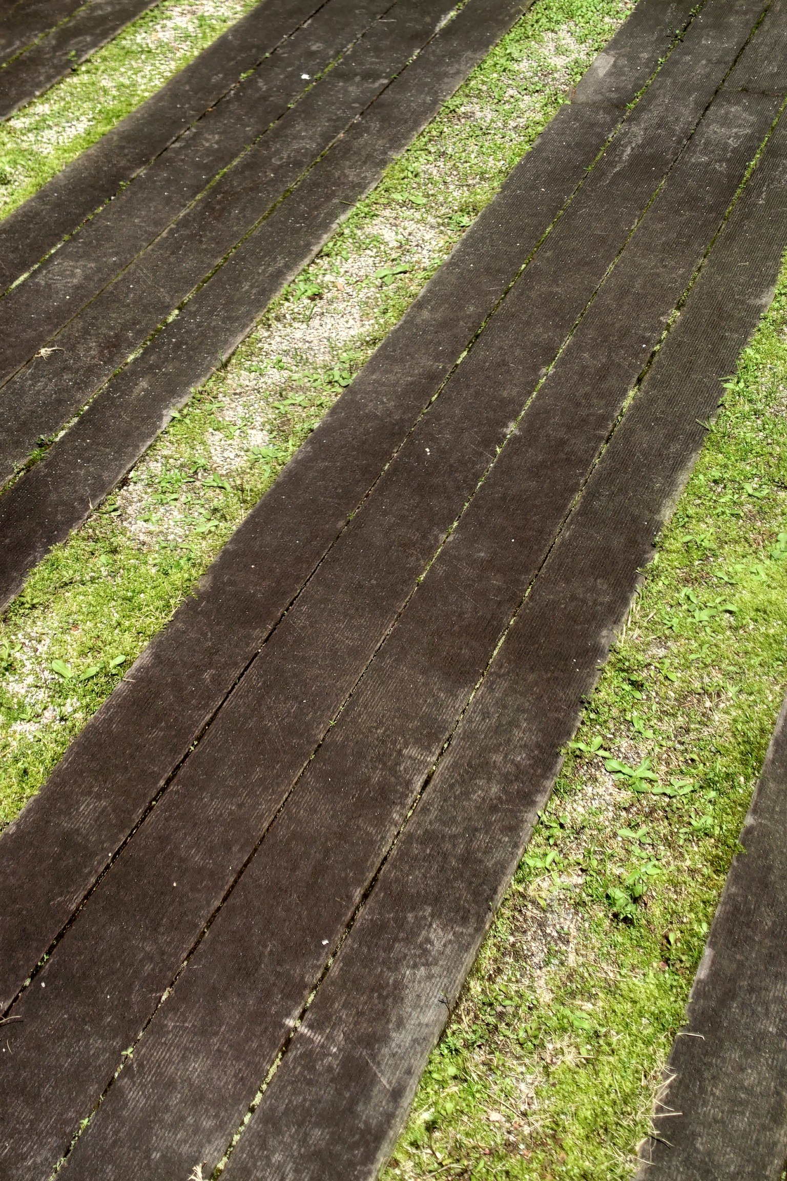 Tilled soil rows with visible green grass