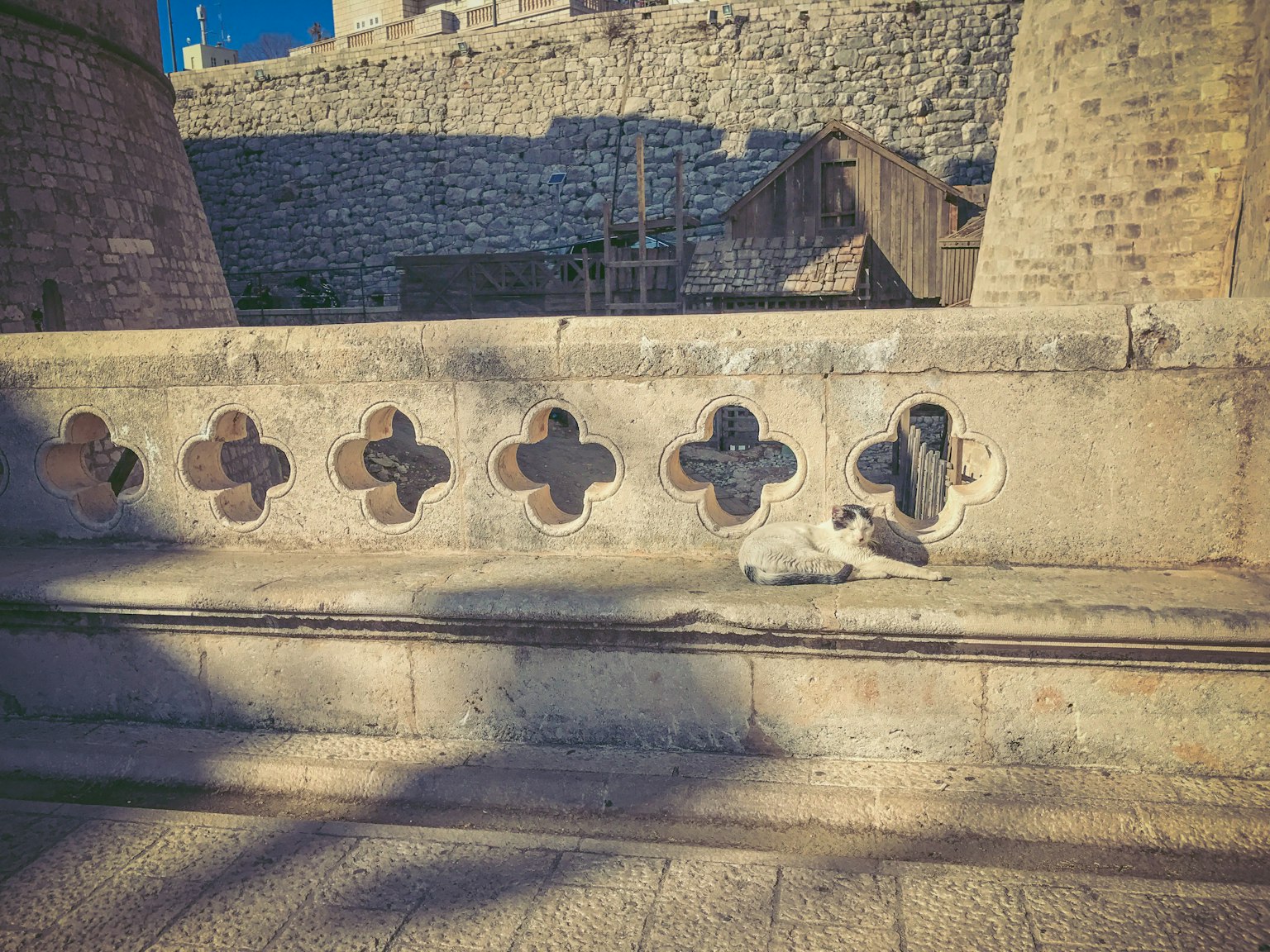 Eine weiße Katze, die auf einer Steinmauer mit historischer Architektur im Hintergrund liegt