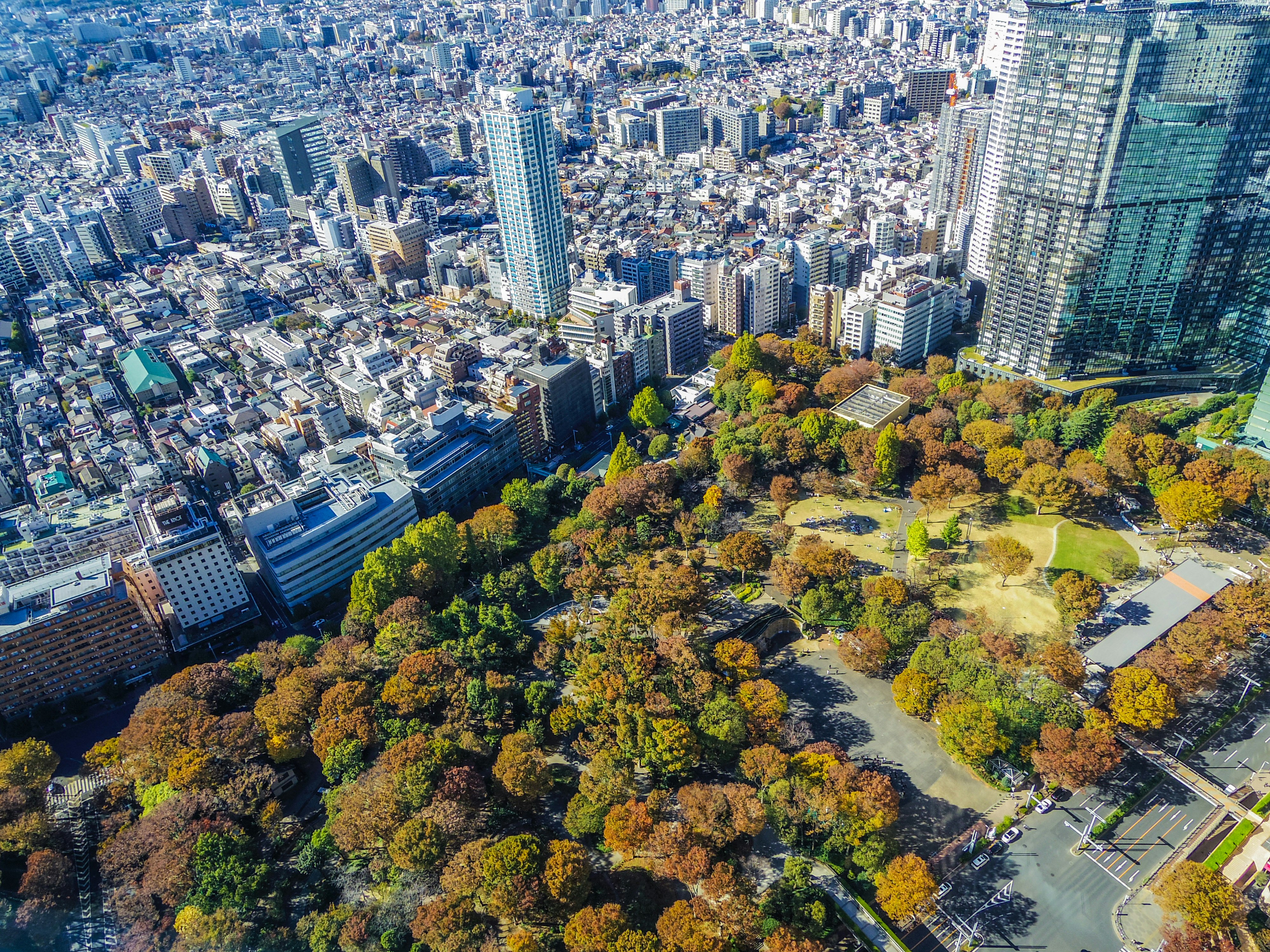Luftaufnahme einer dichten Stadt mit einem Park im Herbst