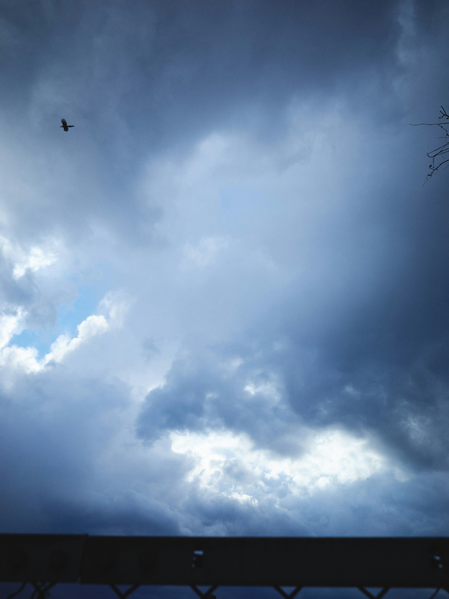 Nuages sombres avec un soupçon de ciel bleu et une silhouette d'oiseau