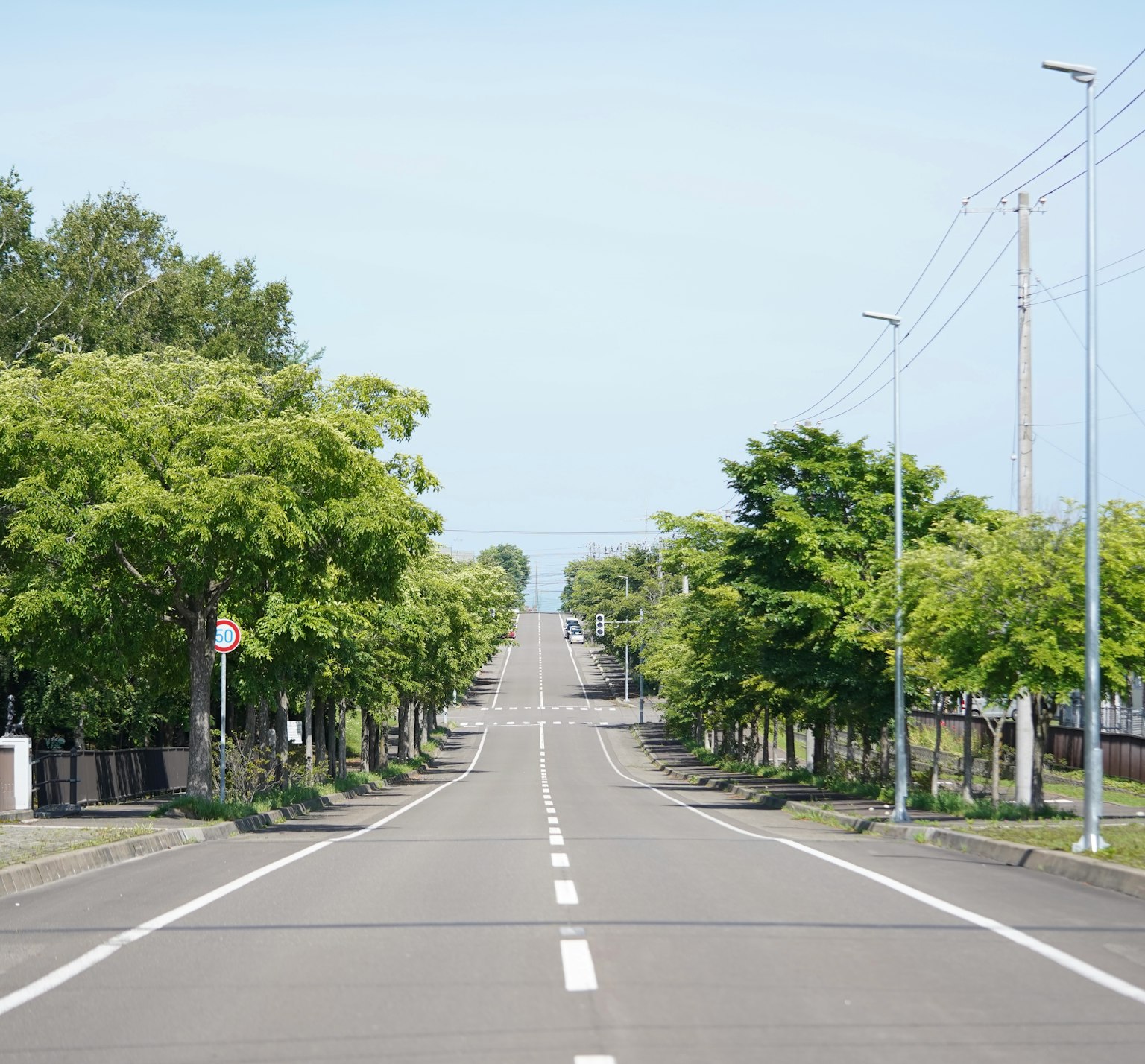 Una strada tranquilla fiancheggiata da alberi verdi che si estende in lontananza