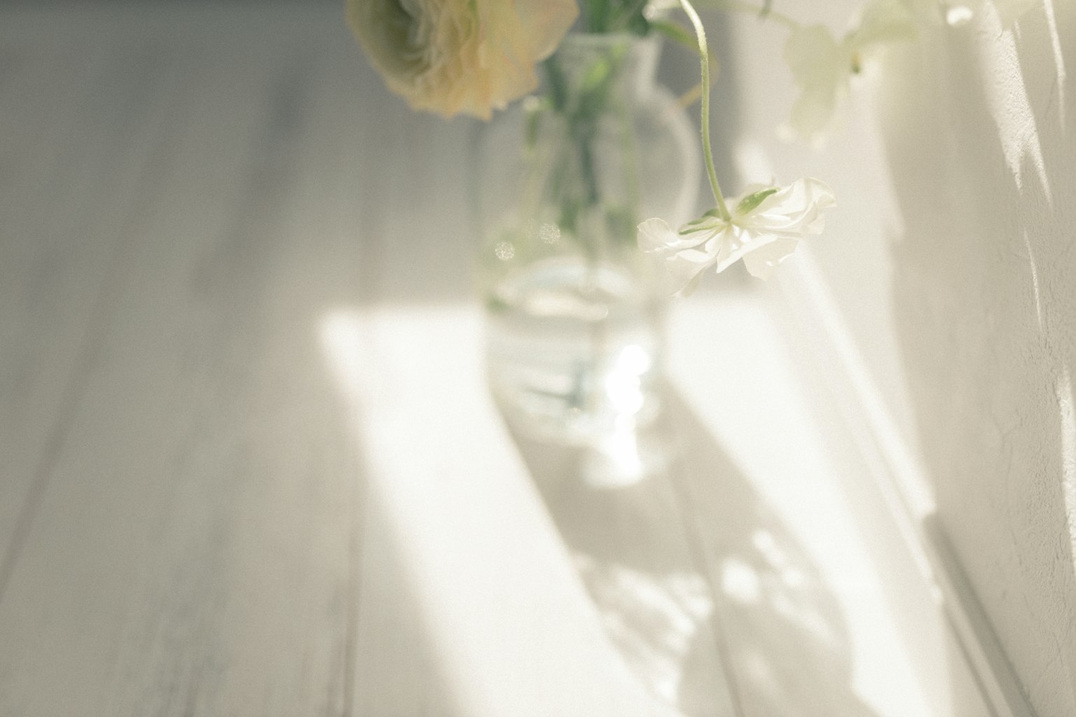 A soft scene with a transparent vase holding white and pale flowers in gentle light