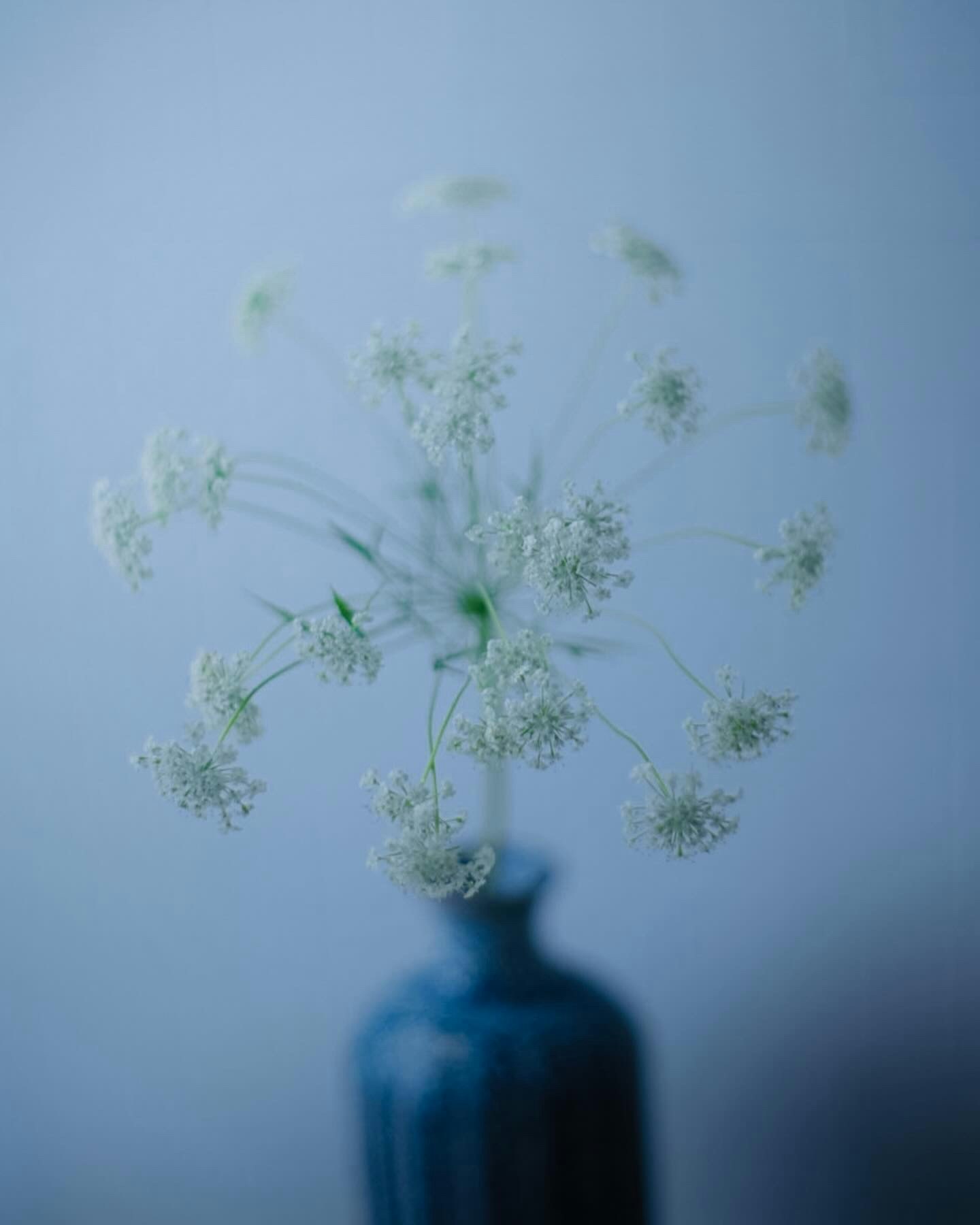 青い花瓶に生けた花のボケのある室内の飾り