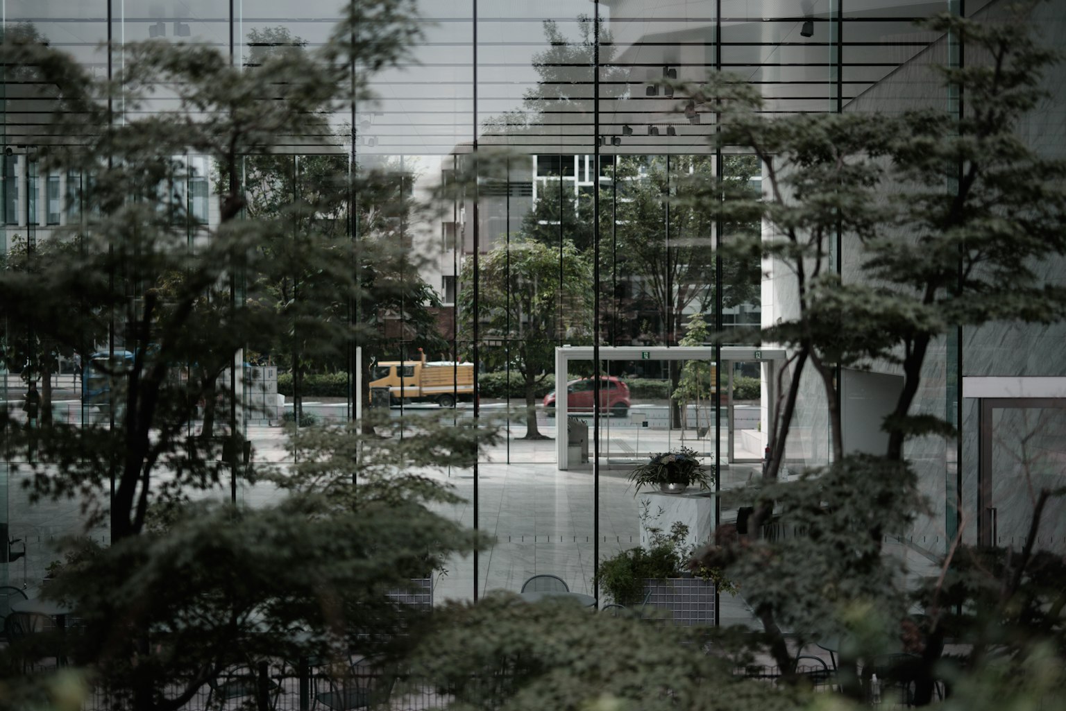 透過玻璃看到的花園景觀 綠樹成蔭和遊樂設施